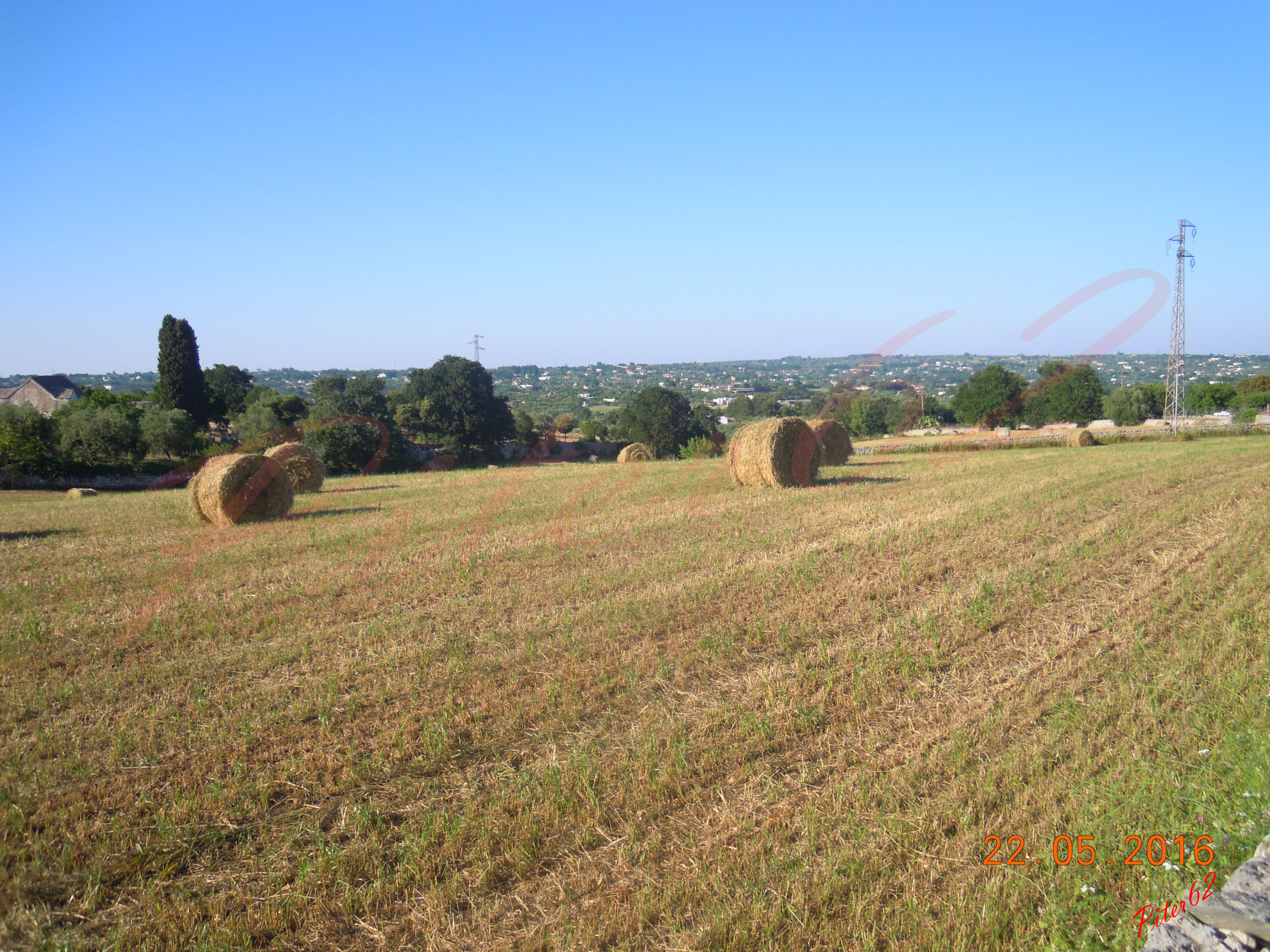 Nikon Coolpix S5100 sample photo. Wheat field photography