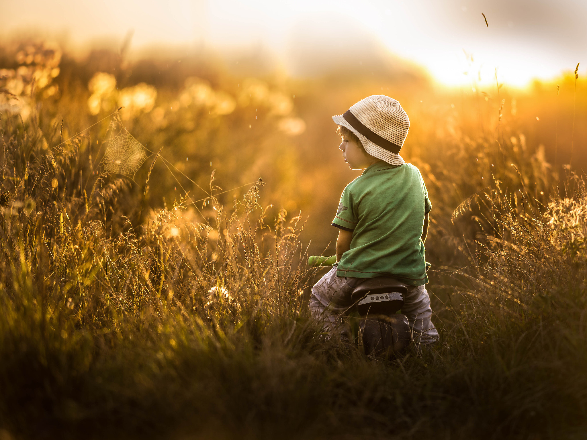 Sony a7 + Sony Sonnar T* 135mm F1.8 ZA sample photo. Hello september photography