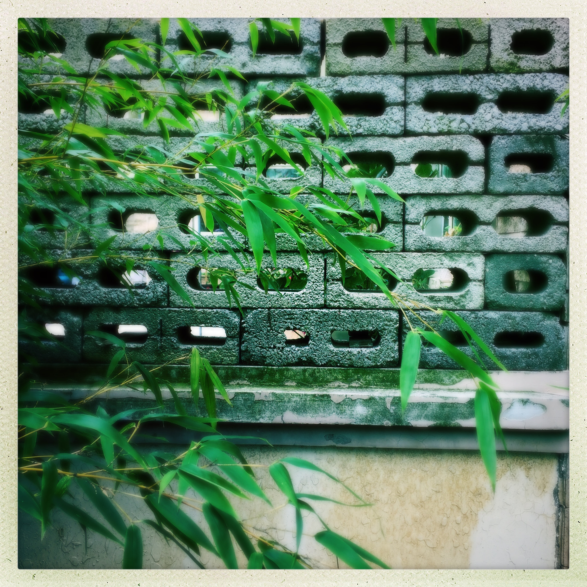 Hipstamatic 320 sample photo. 静/by iphone photography
