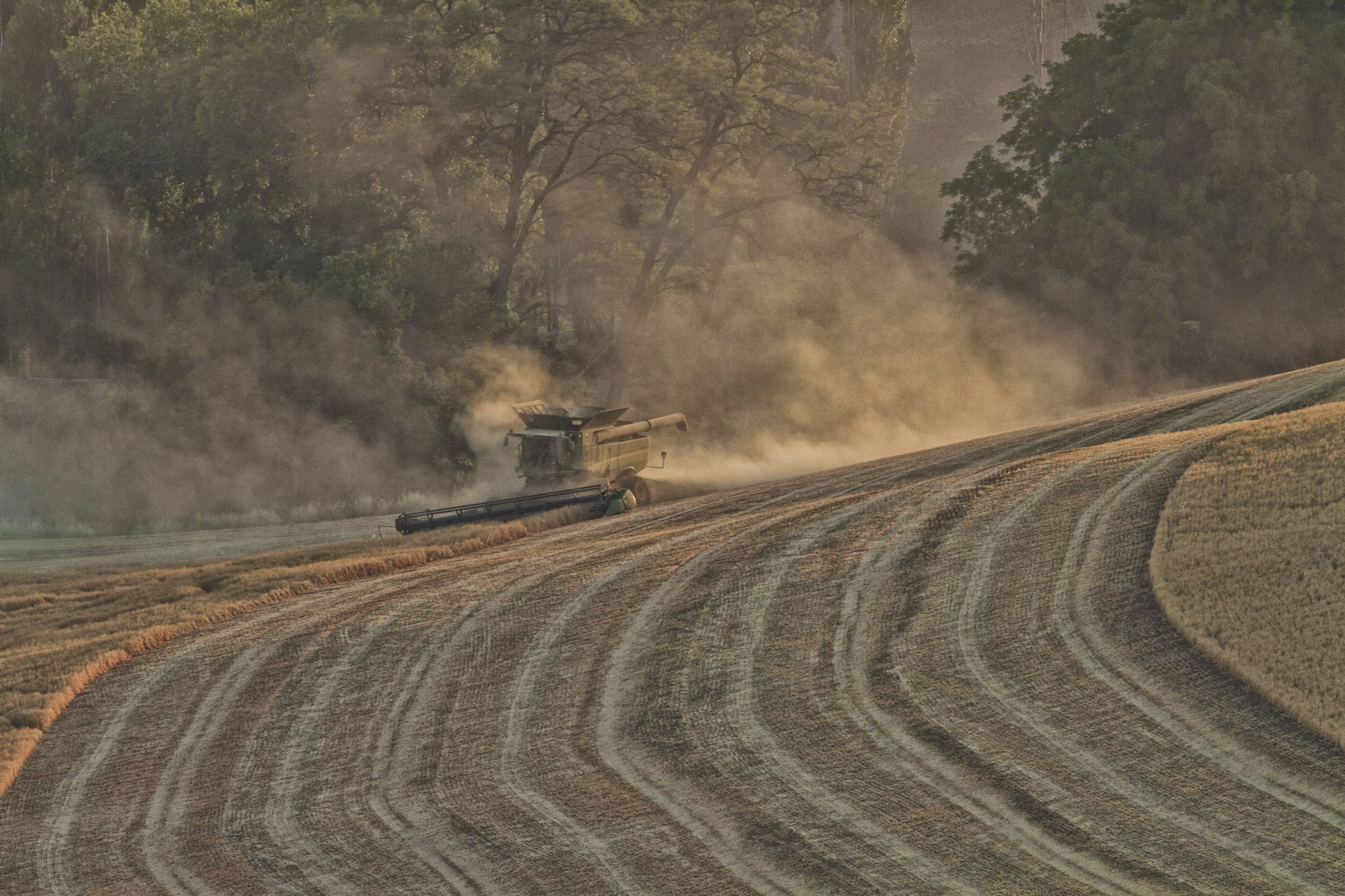 Canon EOS 7D + Canon EF 500mm F4L IS USM sample photo. Evening light on the harvest photography