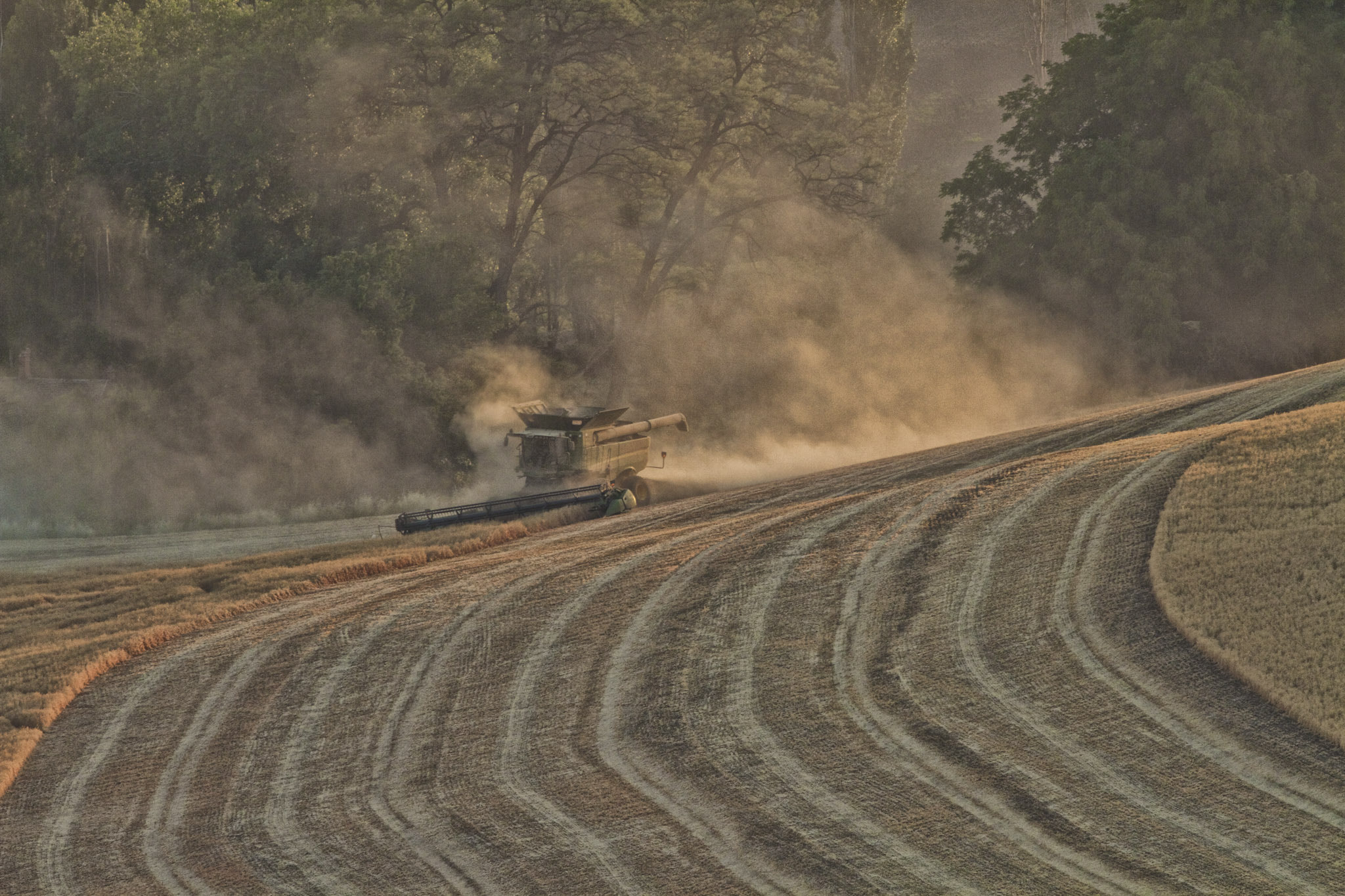 Canon EF 500mm F4L IS USM sample photo. Evening light on the harvest photography