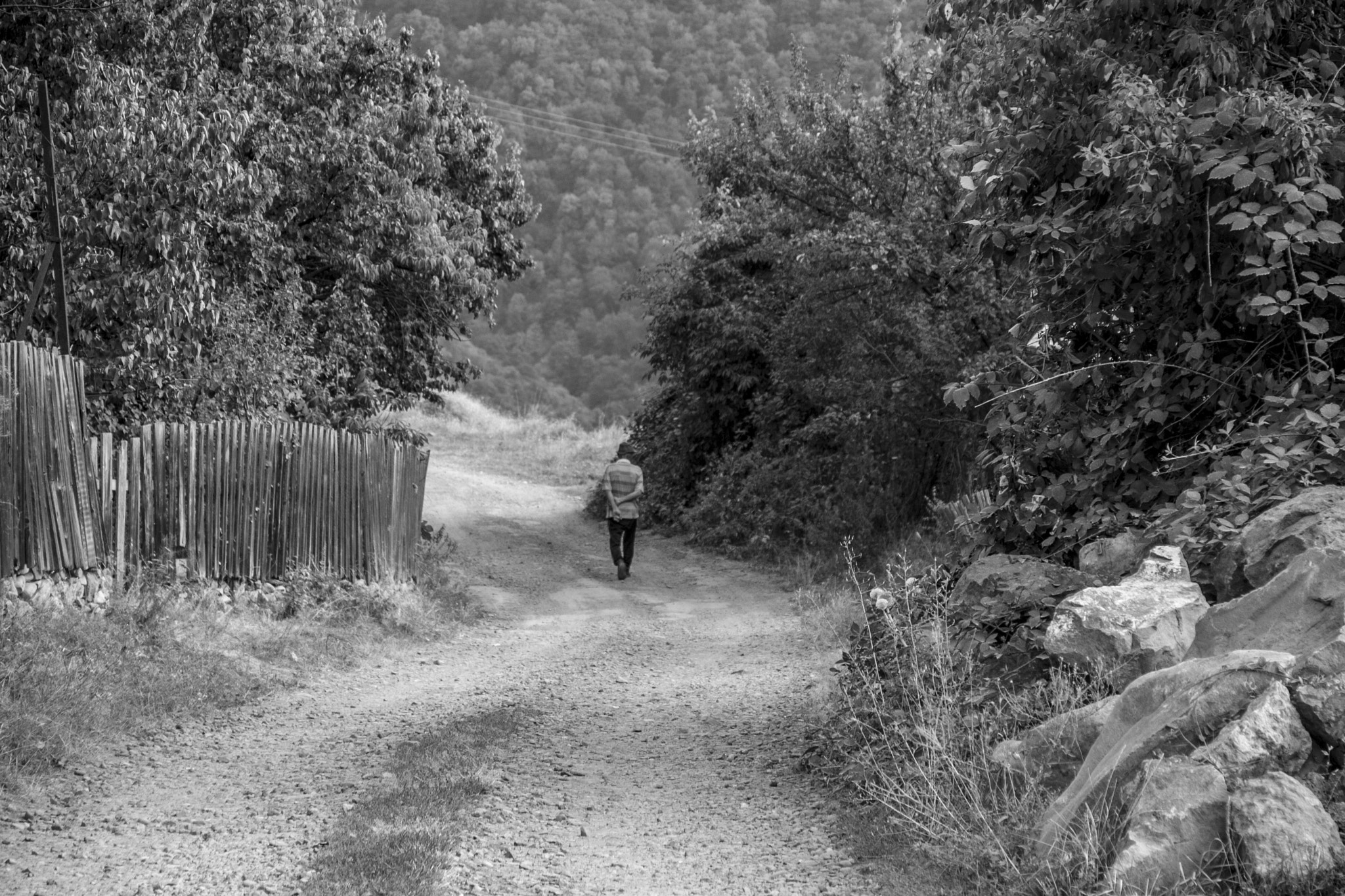 Canon EOS 1000D (EOS Digital Rebel XS / EOS Kiss F) sample photo. Astghik nikoghosyan photography