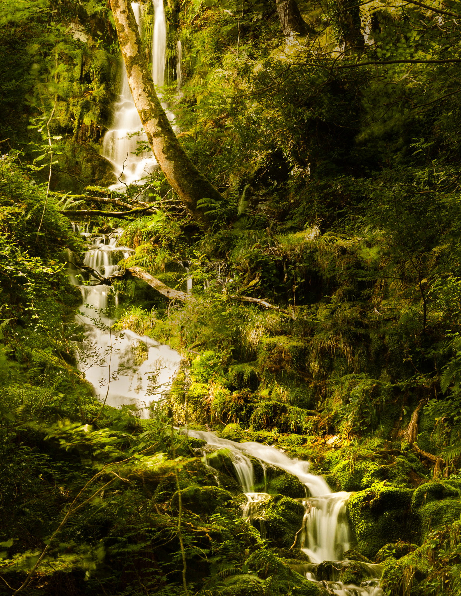 Canon EF 24-85mm F3.5-4.5 USM sample photo. Waterfall photography
