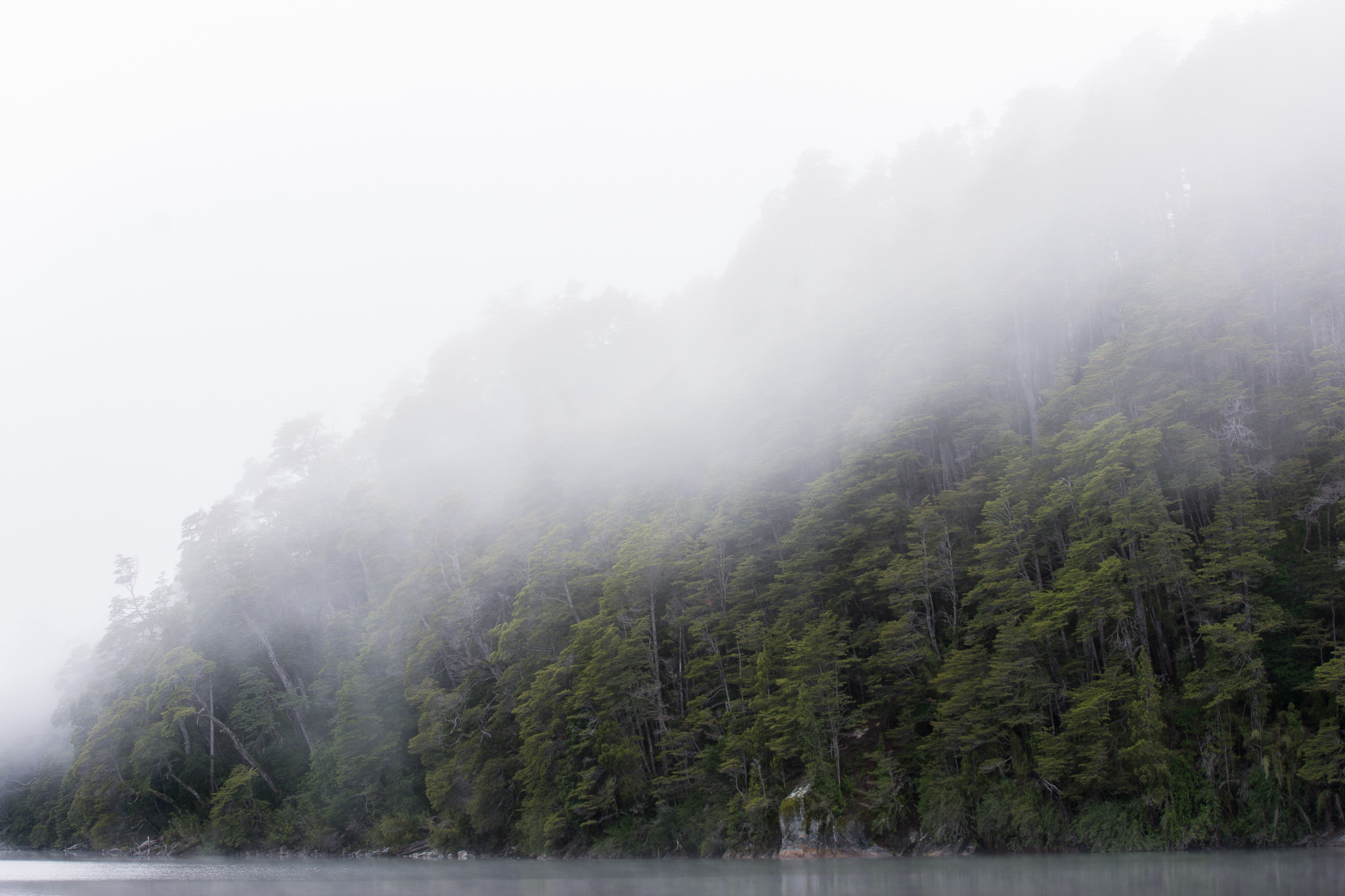 Sigma 50-150mm F2.8 EX APO DC OS HSM sample photo. Foggy morning at villa la angostura, patagonia argentina. photography