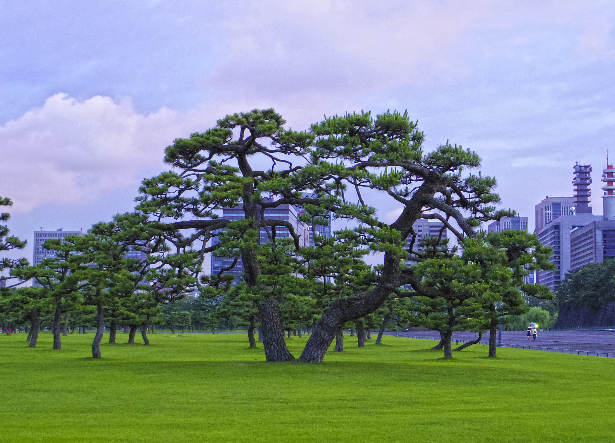 Pentax 02 Standard Zoom sample photo. Tokyo photography