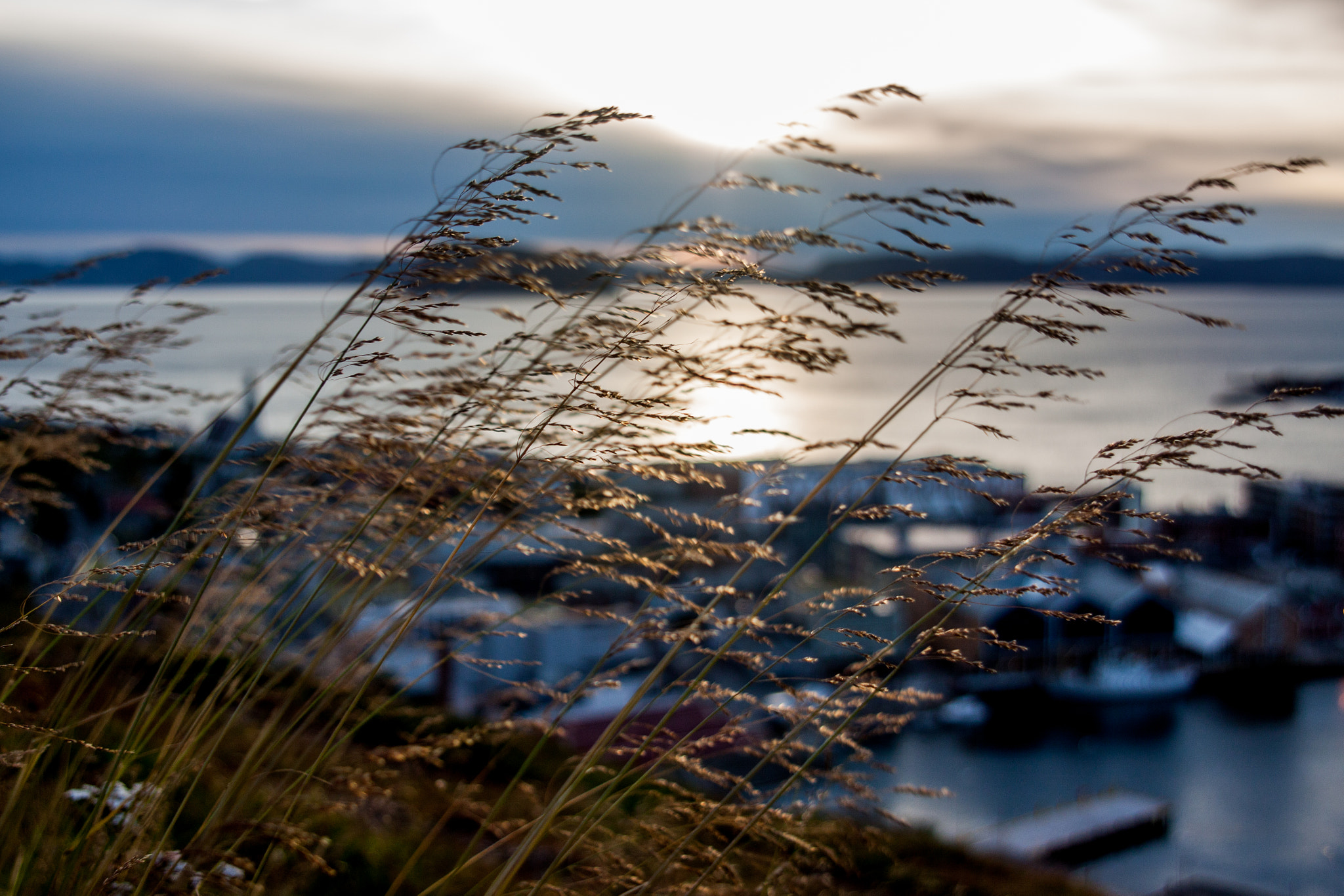 Canon EOS 50D + Sigma 24-70mm F2.8 EX DG Macro sample photo. Windy photography