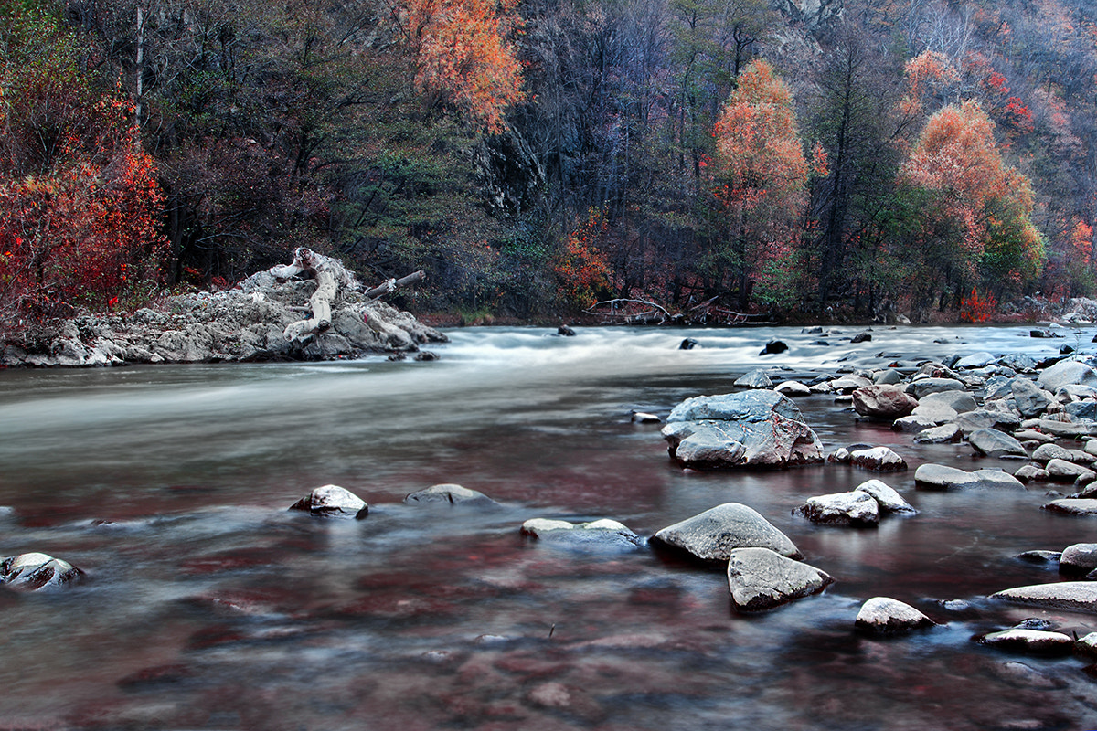 Sigma 10-20mm F3.5 EX DC HSM sample photo. Autumn 3 photography