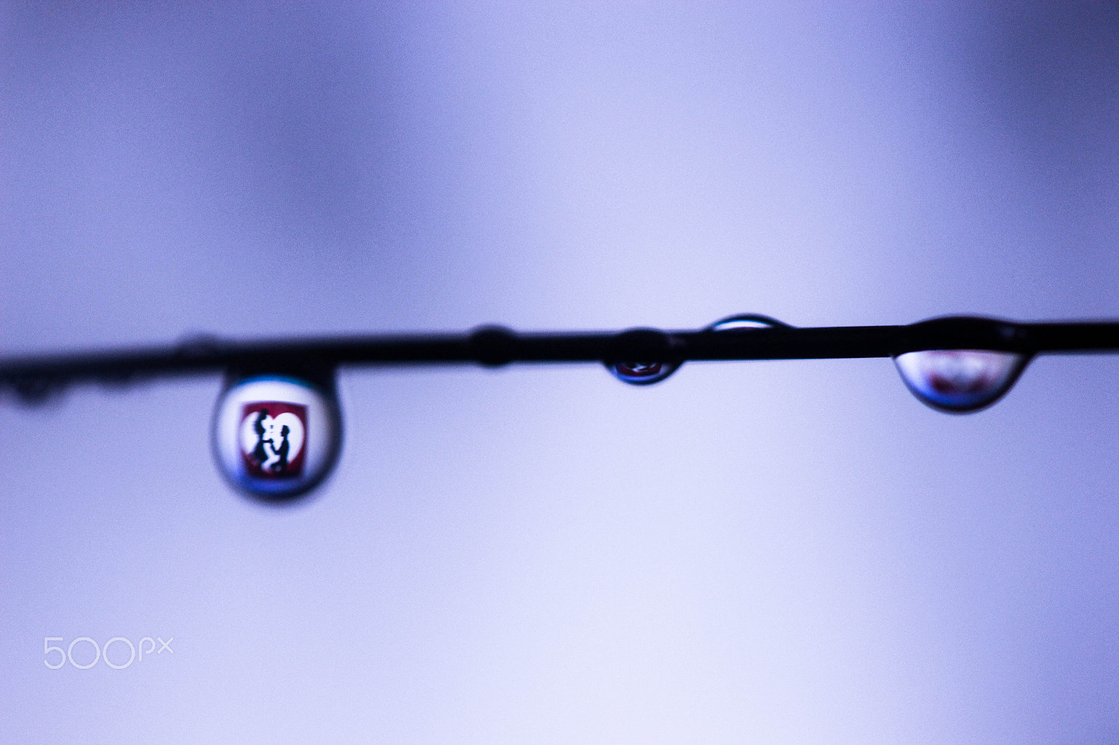 Canon EF-S 60mm F2.8 Macro USM sample photo. Drop in love photography