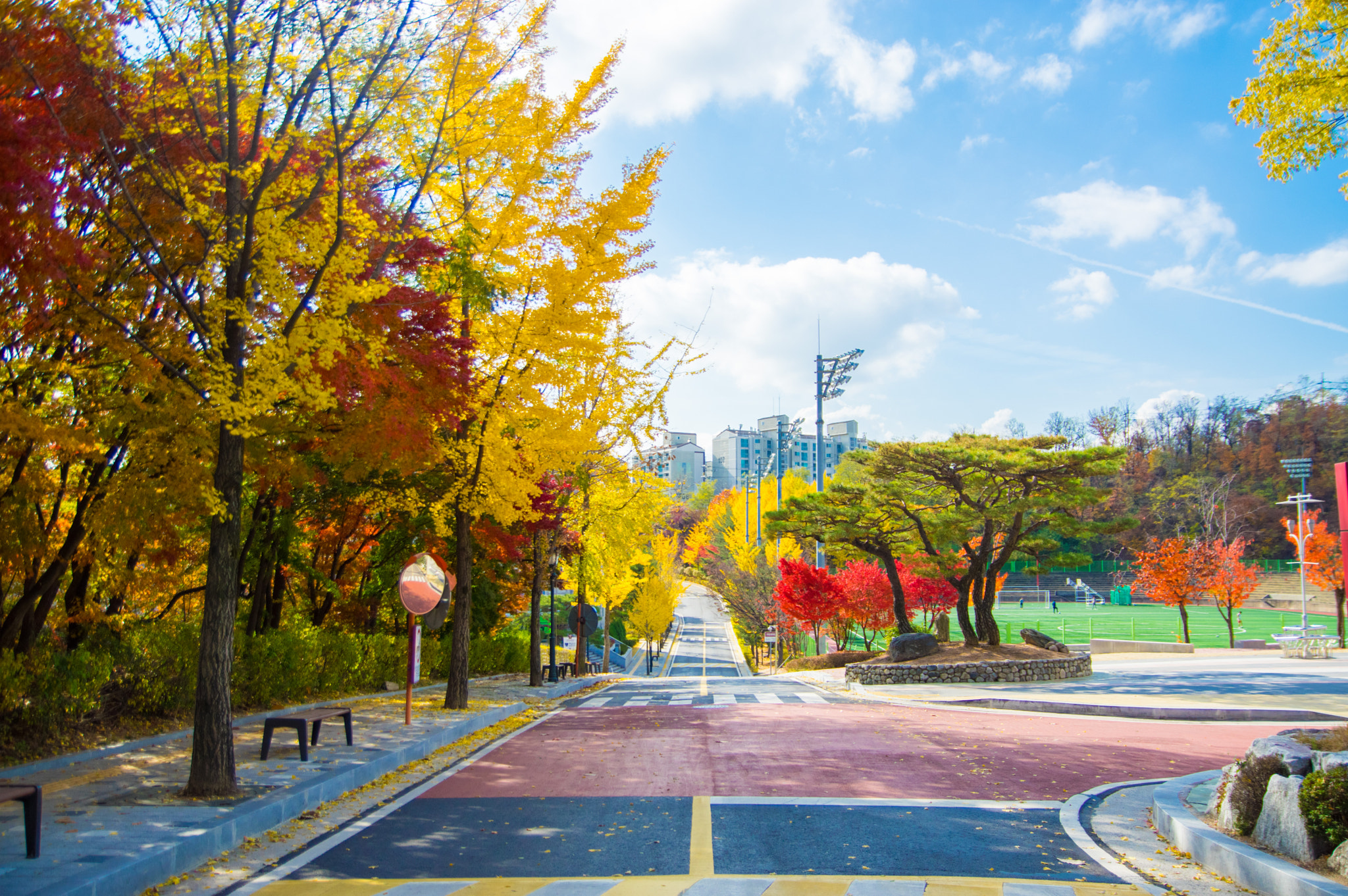 Pentax K-3 II sample photo. Colorful road photography