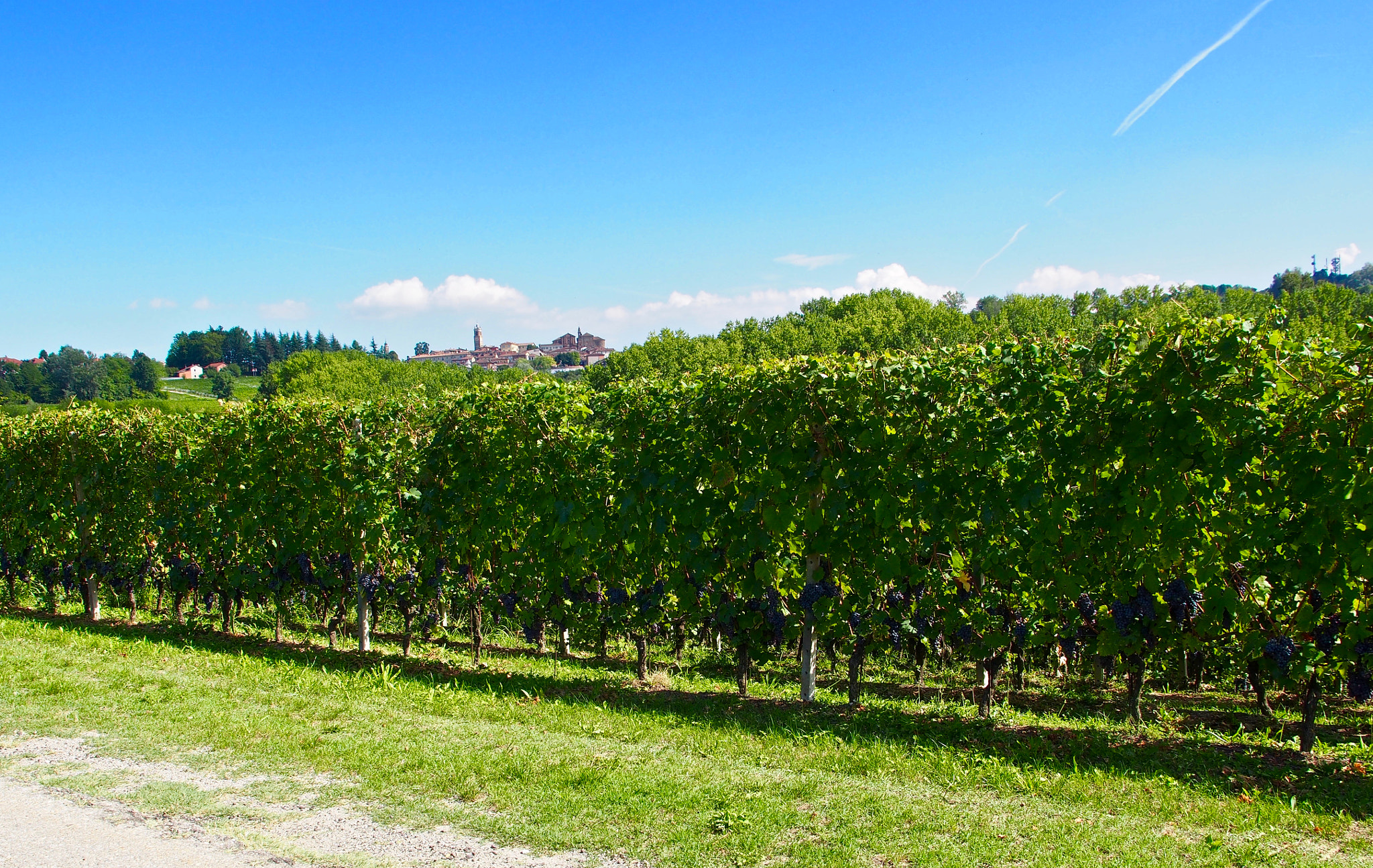 Panasonic Lumix G X Vario 12-35mm F2.8 ASPH Power OIS sample photo. Before the harvest photography