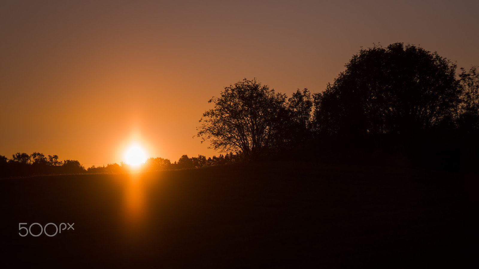 Pentax K-1 sample photo. Morning light photography