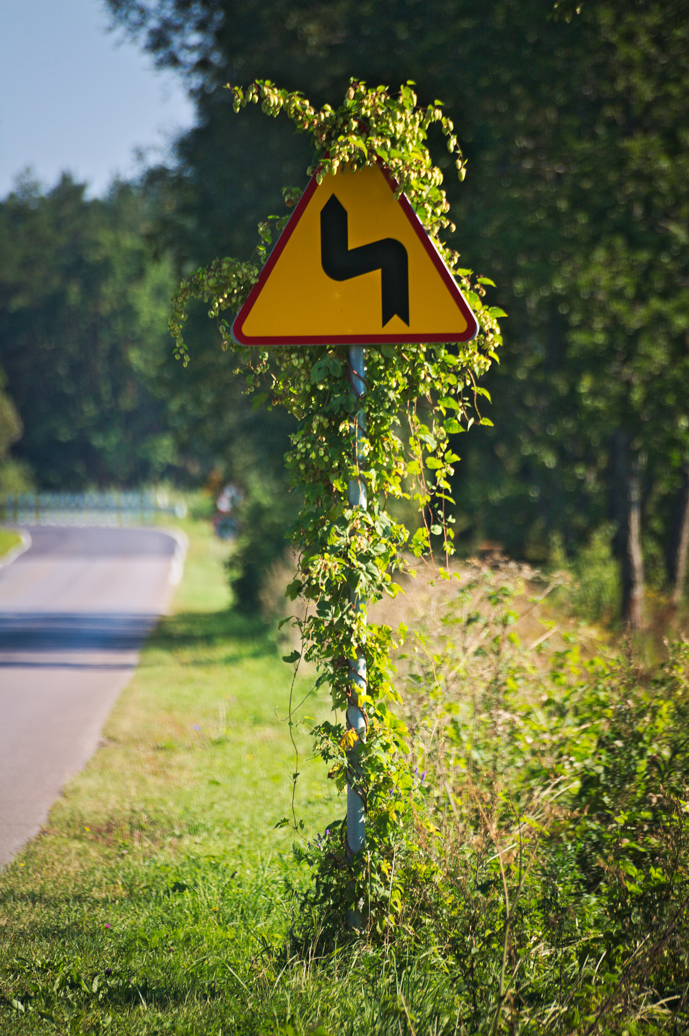Canon EOS 5D sample photo. Curve ahead photography
