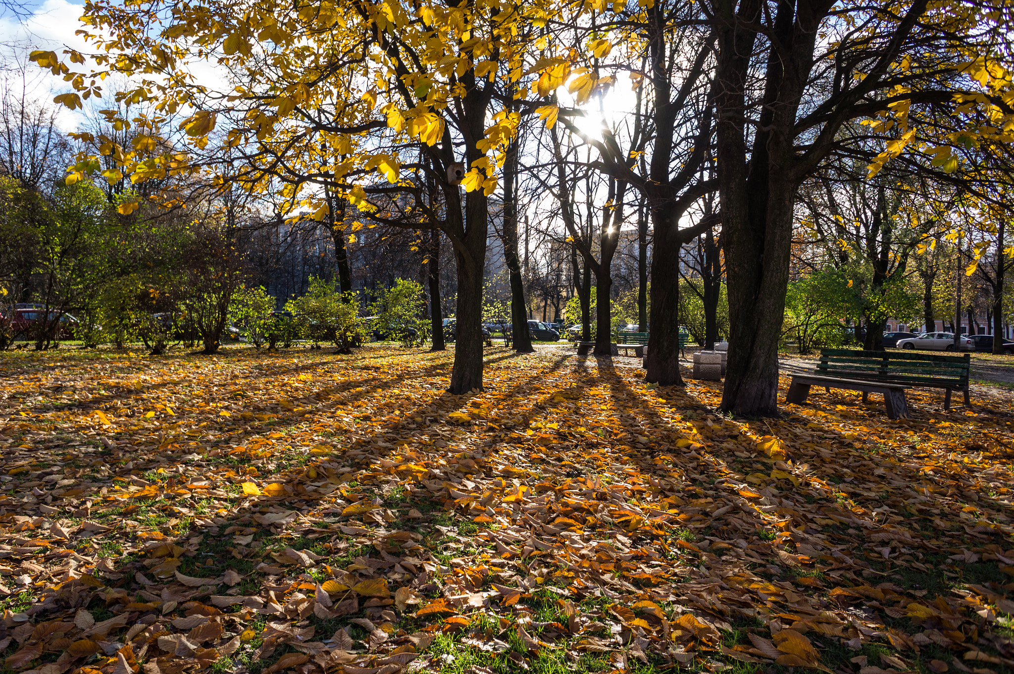 Sony Alpha NEX-5N + Sony E 16mm F2.8 sample photo. *** photography