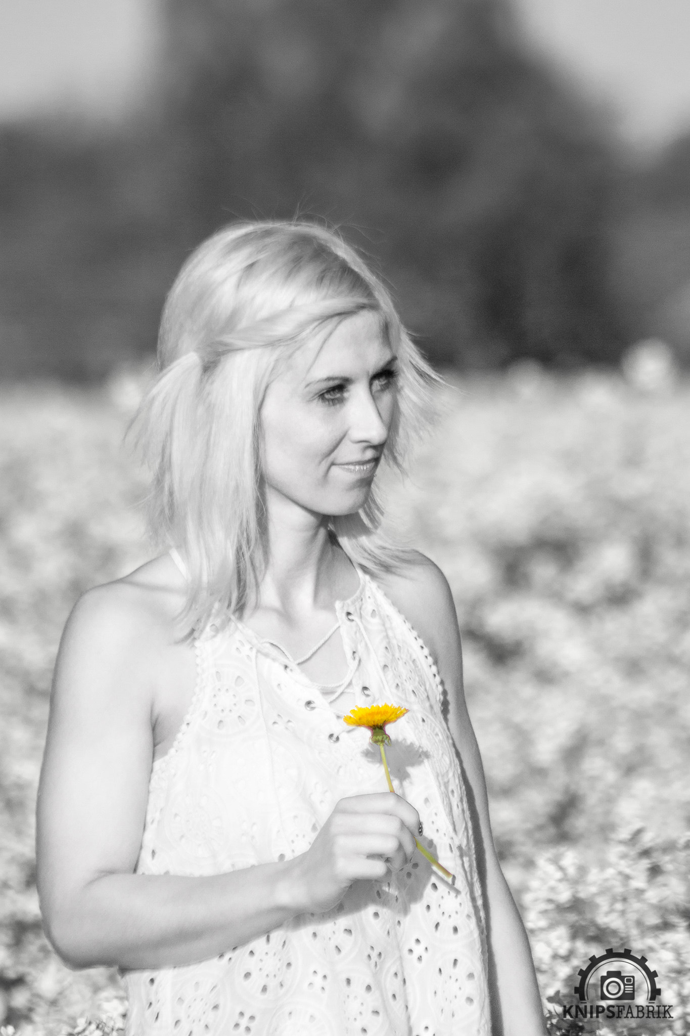 Canon EF 75-300mm F4.0-5.6 IS USM sample photo. Taraxacum photography
