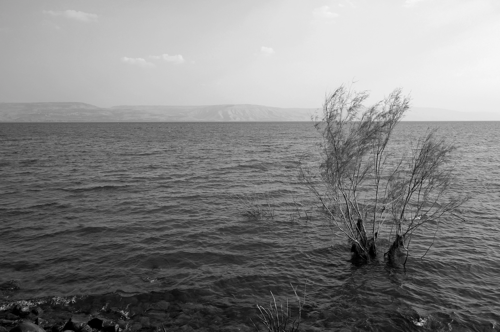 Sony Alpha NEX-F3 + Sigma 19mm F2.8 EX DN sample photo. Sea of galilee. photography