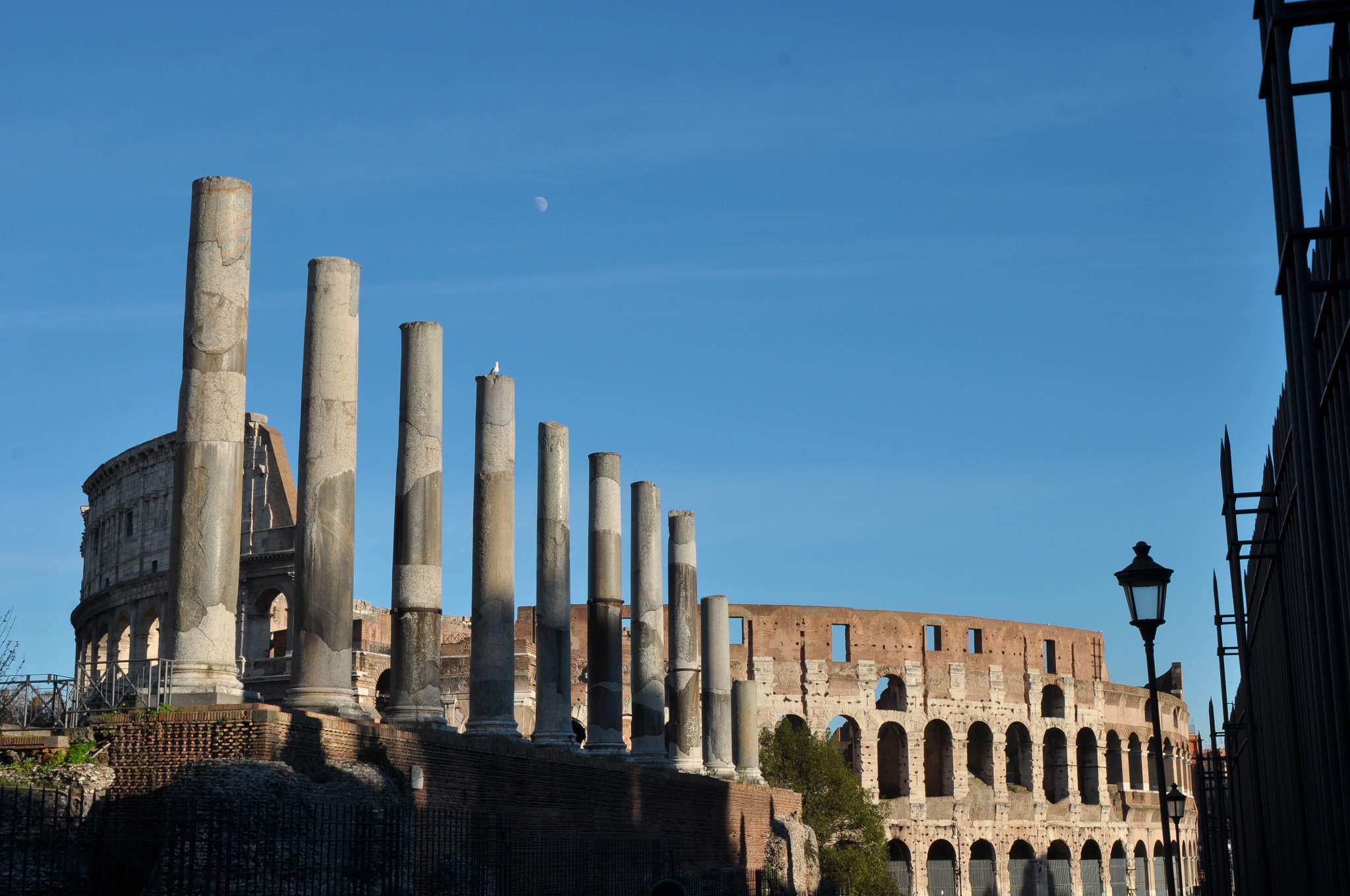 Nikon D90 + AF Zoom-Nikkor 24-120mm f/3.5-5.6D IF sample photo. Fori di roma photography