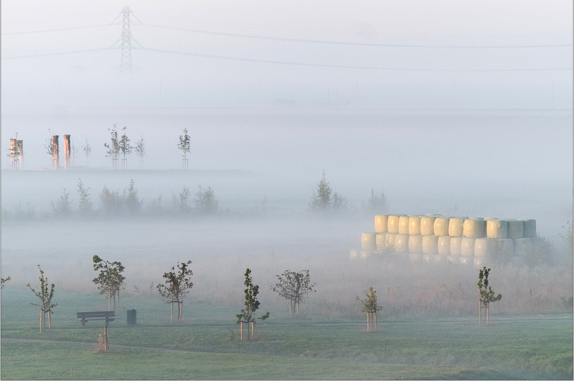 XF50-140mmF2.8 R LM OIS WR + 1.4x sample photo. Misty morning photography