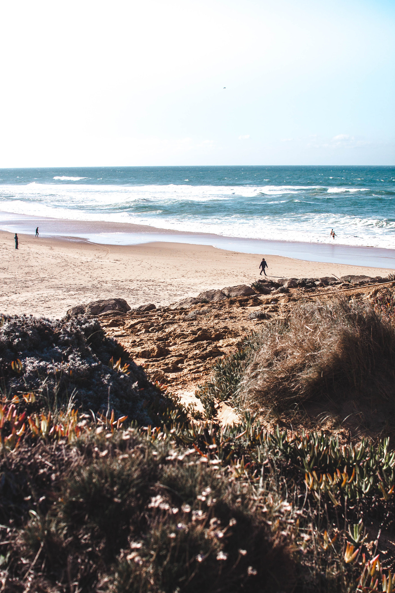 Sigma 30mm F1.4 EX DC HSM sample photo. Praia do guincho, autumn 2015. photography