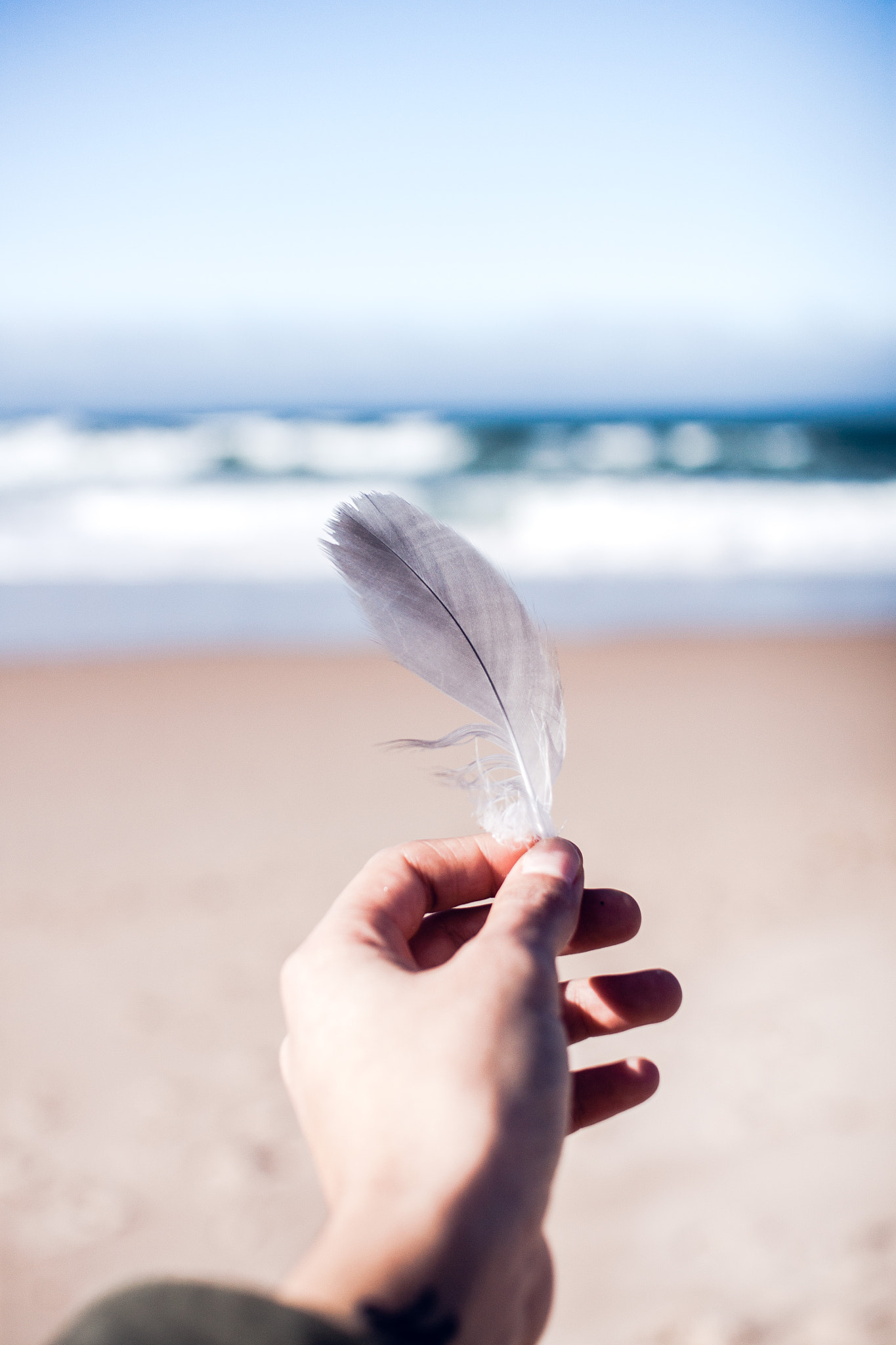 Sigma 30mm F1.4 EX DC HSM sample photo. Praia do guincho, autumn 2015. photography