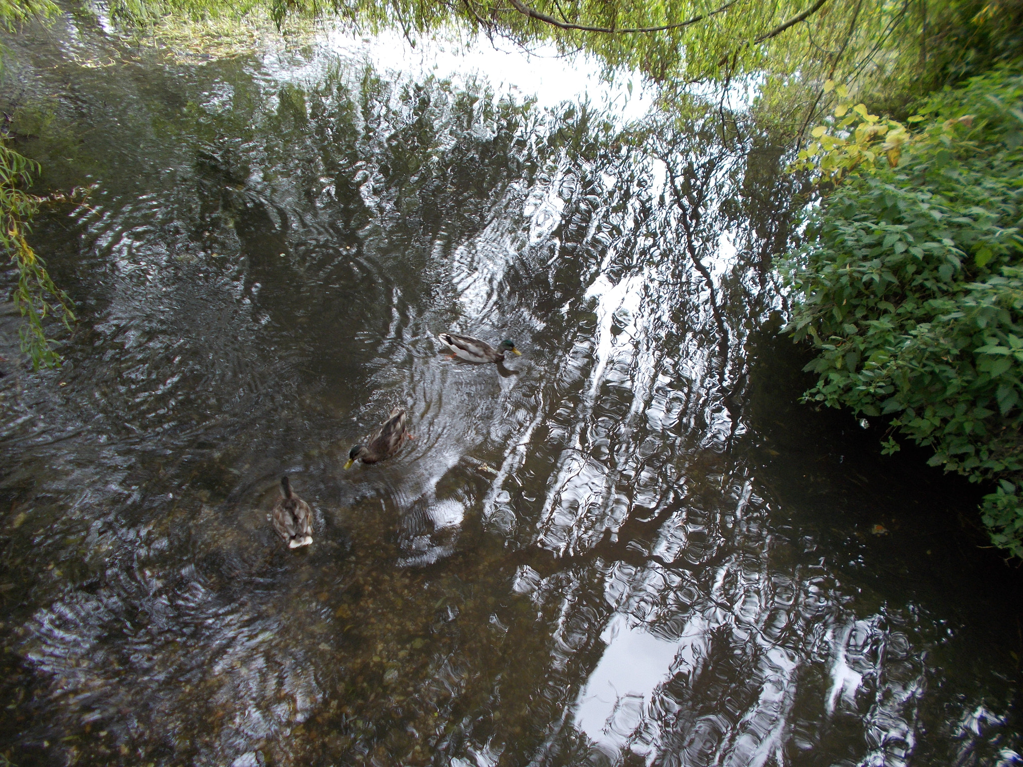 Nikon Coolpix A10 sample photo. The play of light on agitated water photography