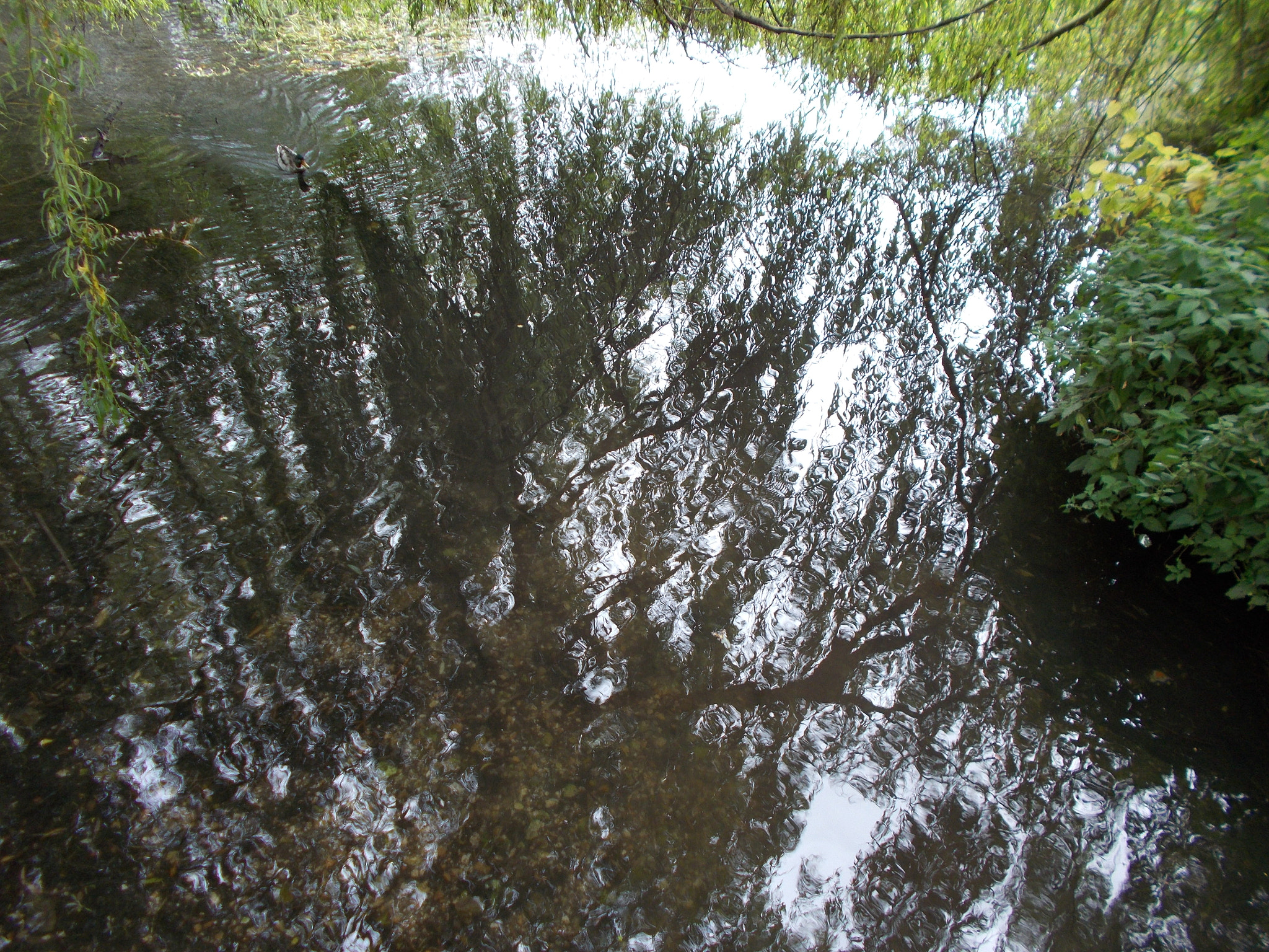 Nikon Coolpix A10 sample photo. The play of light on water photography