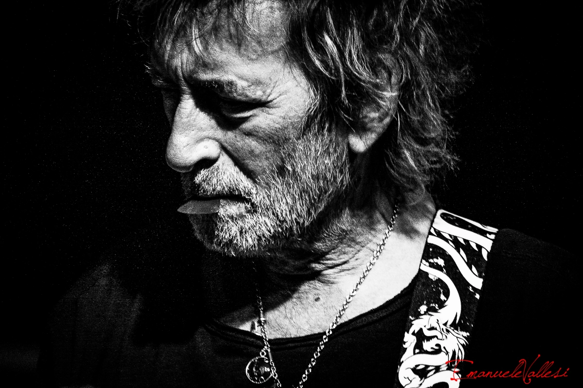 Canon EOS 40D sample photo. Il gallo claudio golinelli (bassista vasco rossi) photography