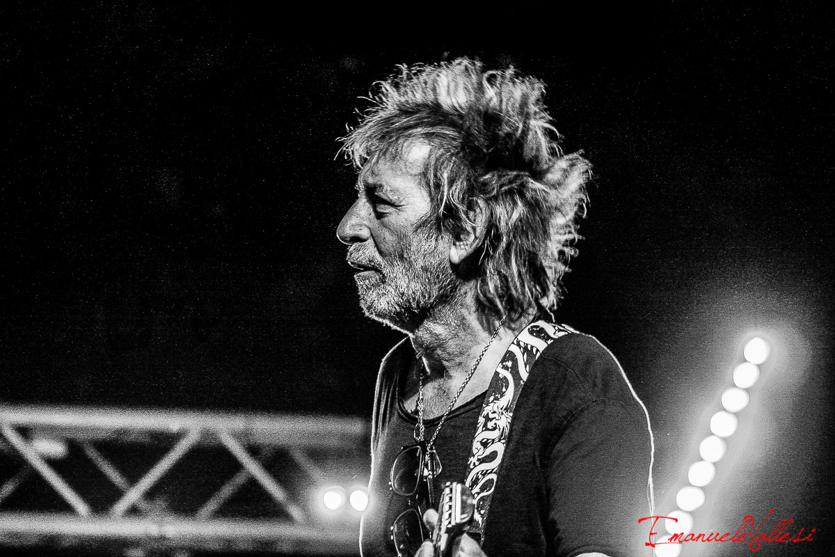 Canon EOS 40D sample photo. Il gallo claudio golinelli (bassista vasco rossi) photography
