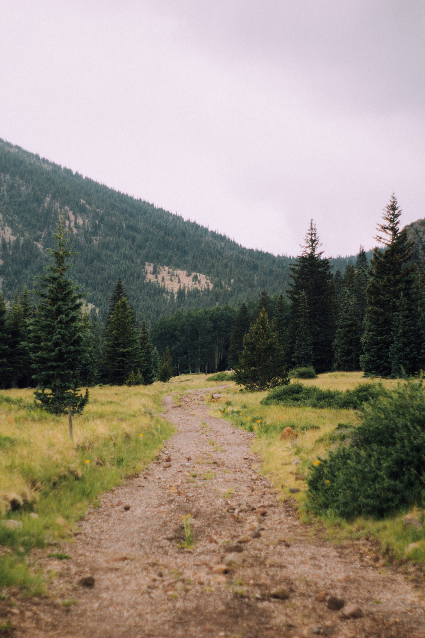 Canon EF 35-80mm f/4-5.6 sample photo. Mountain path photography