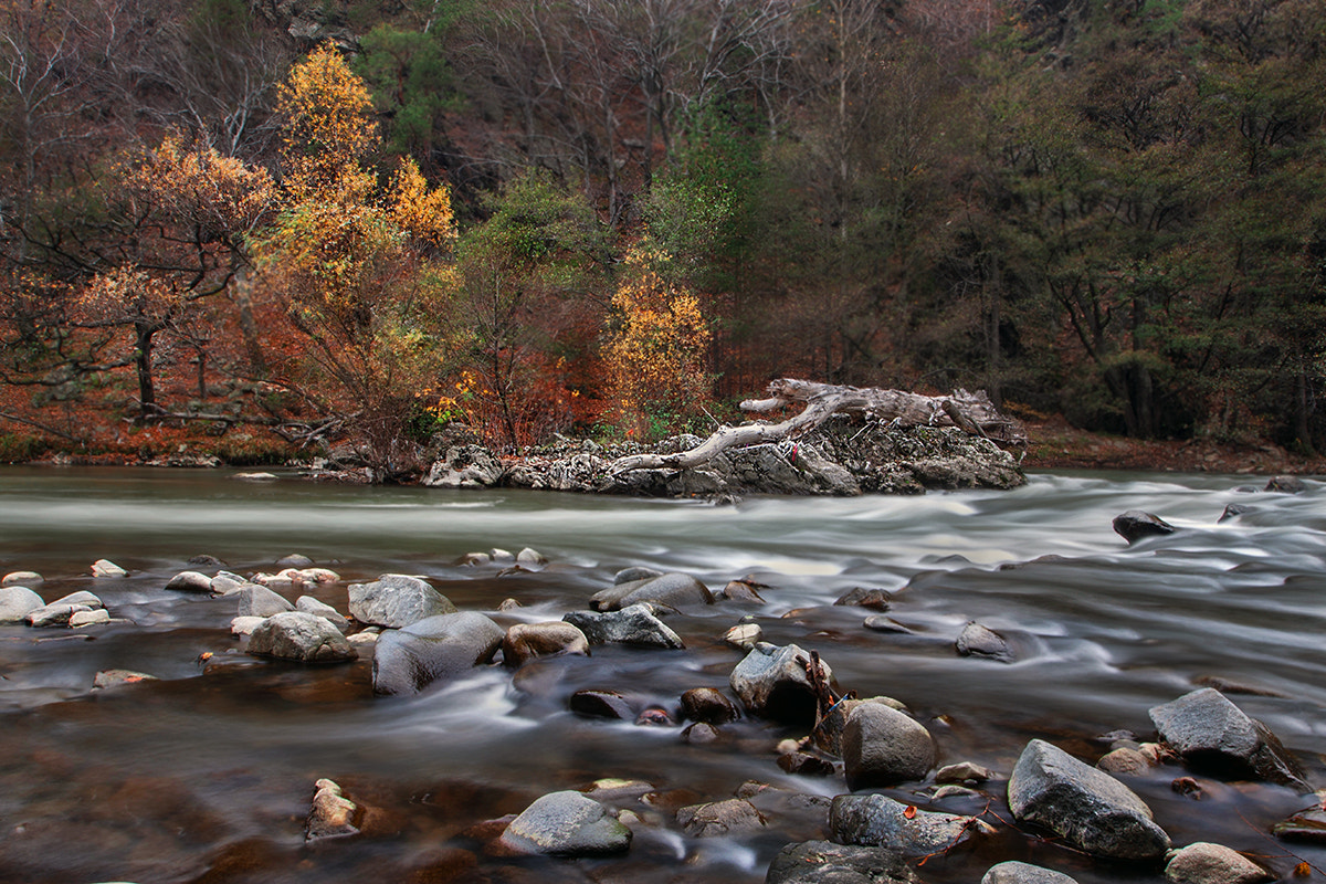 Sigma 10-20mm F3.5 EX DC HSM sample photo. Autumn 4 photography