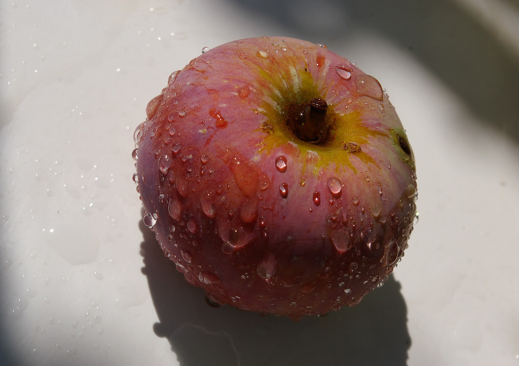 Pentax K110D sample photo. The apple. photography