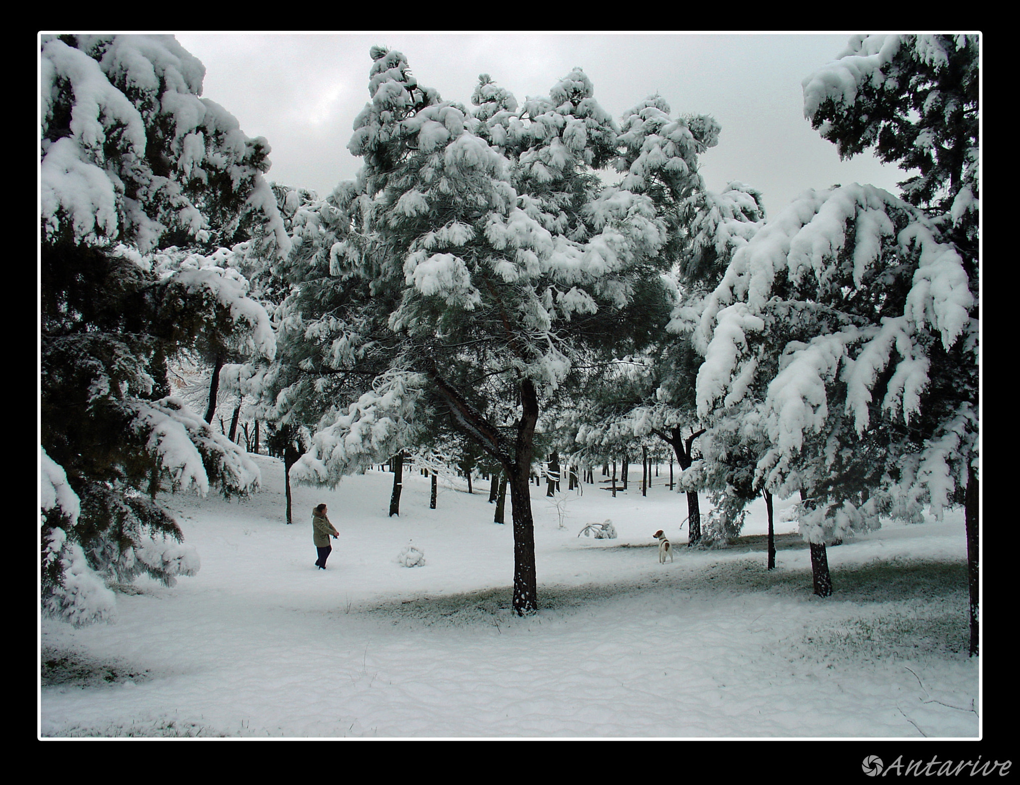 Sony DSC-V1 sample photo. Nevada en ventilla photography