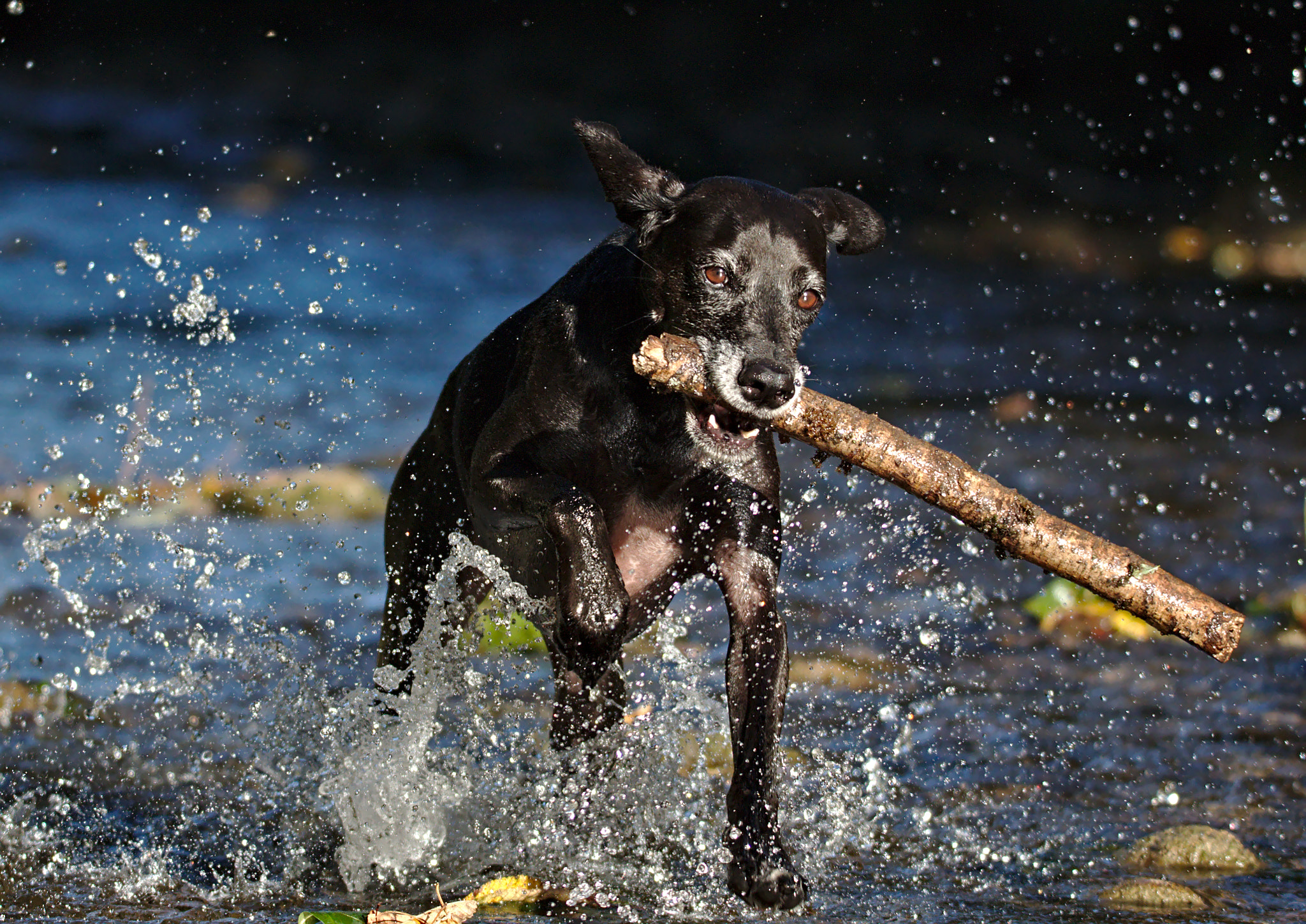 Sigma 150-600mm F5-6.3 DG OS HSM | S sample photo. Happy photography