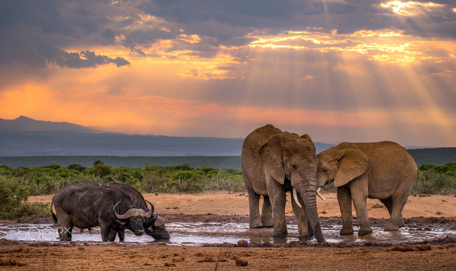 Tamron 18-270mm F3.5-6.3 Di II PZD sample photo. African sunset photography