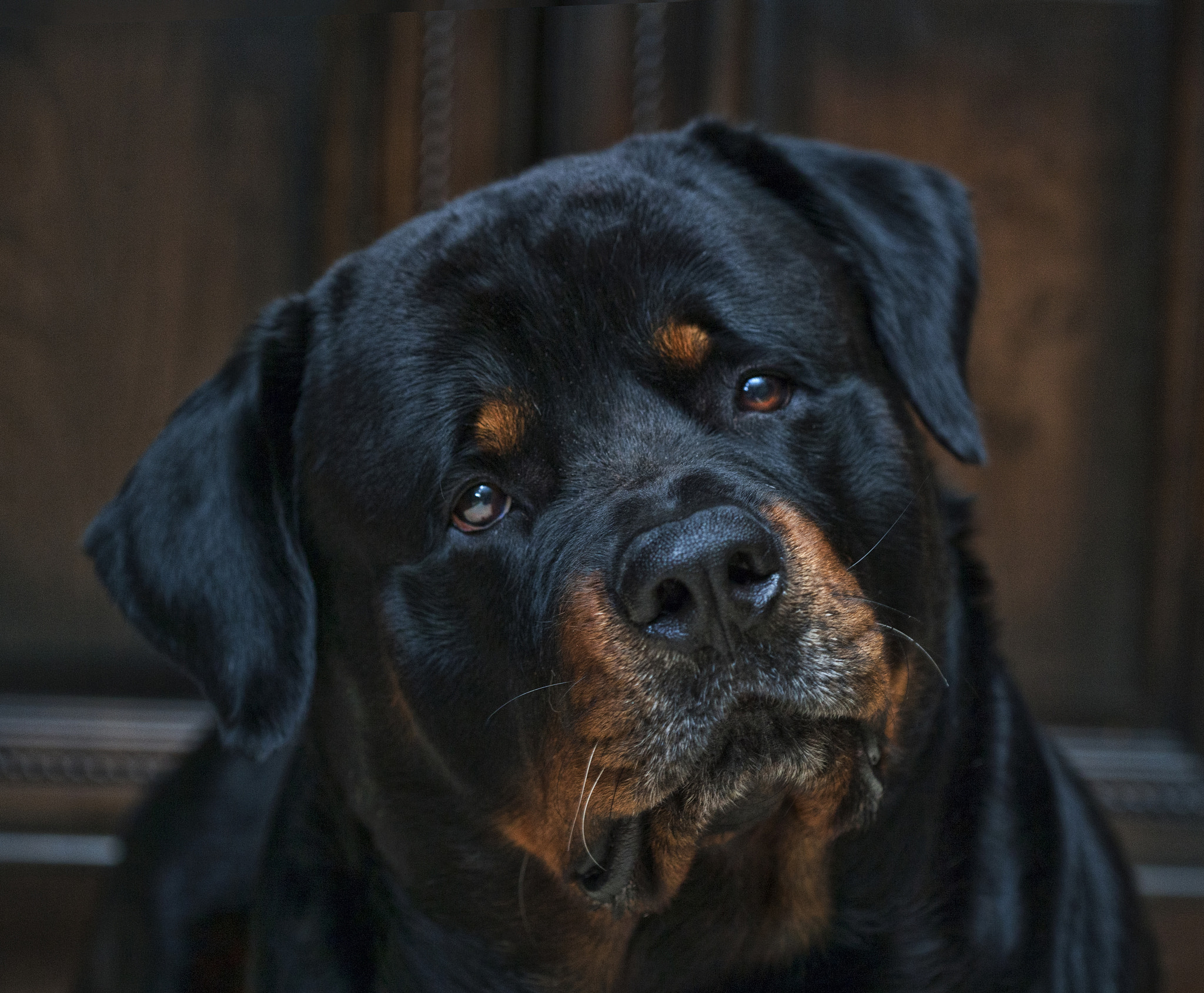 Canon EOS-1Ds Mark II sample photo. Arnold photography
