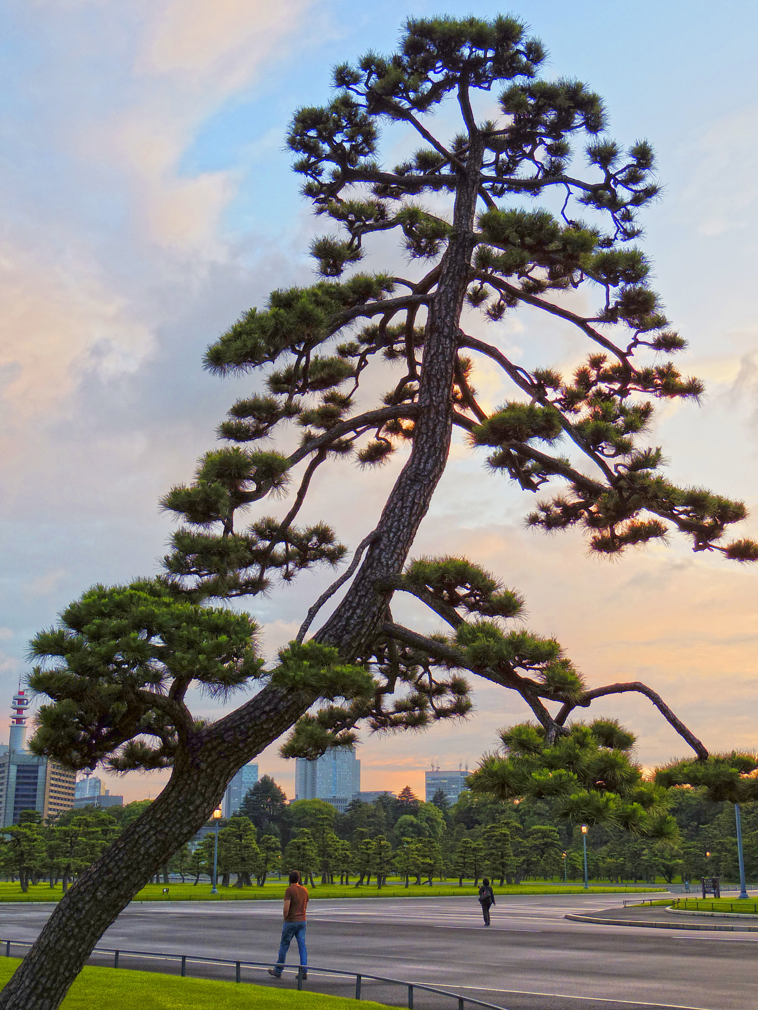 Pentax Q7 sample photo. Tokio photography