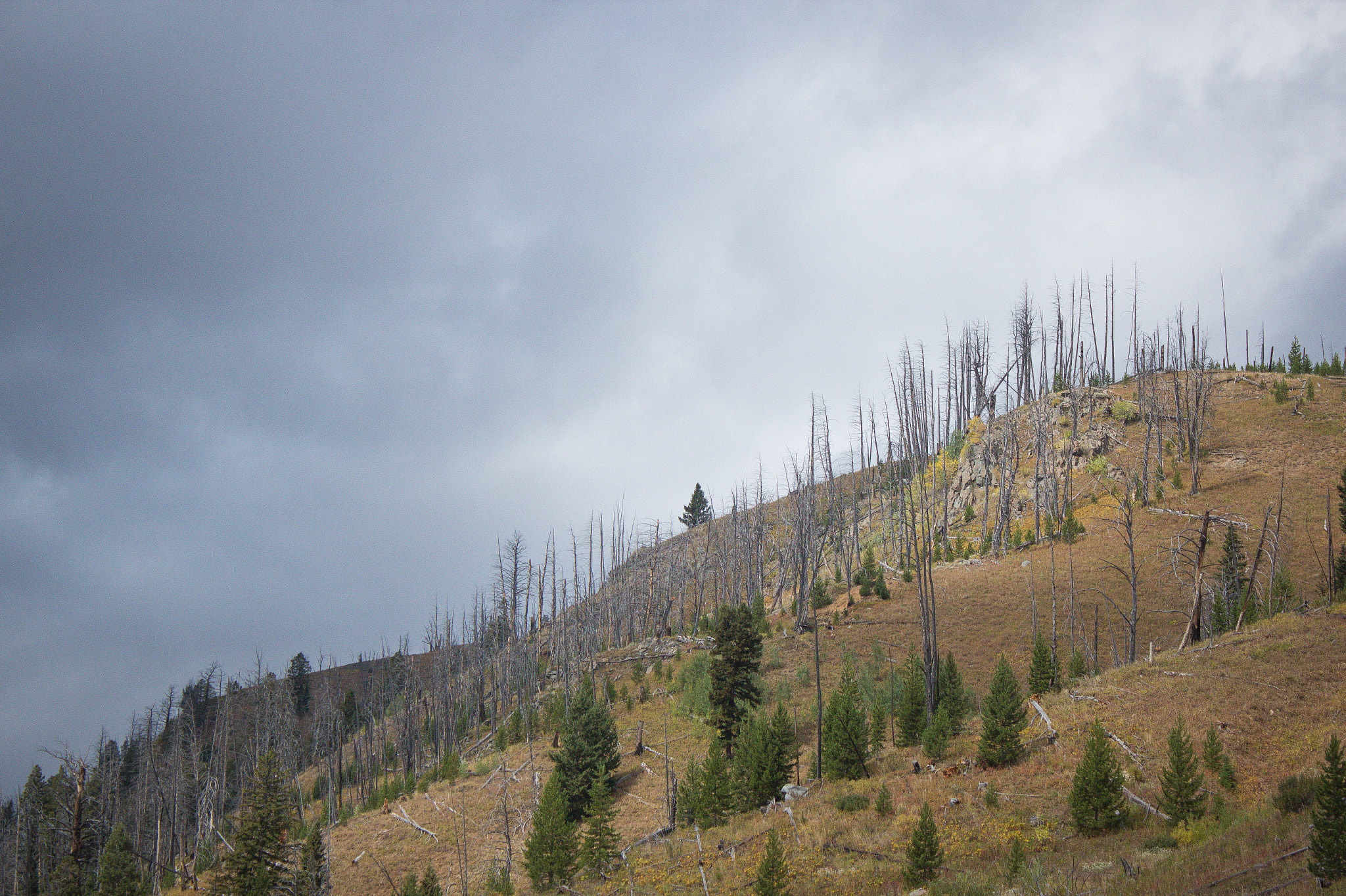 Canon EF-S 18-55mm F3.5-5.6 IS sample photo. Mountains were beautiful on the beartooth highway  ... photography