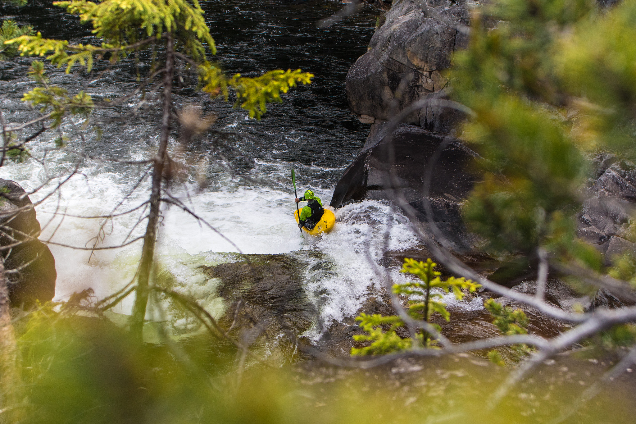 Canon EF 17-35mm f/2.8L sample photo. Through the woods photography