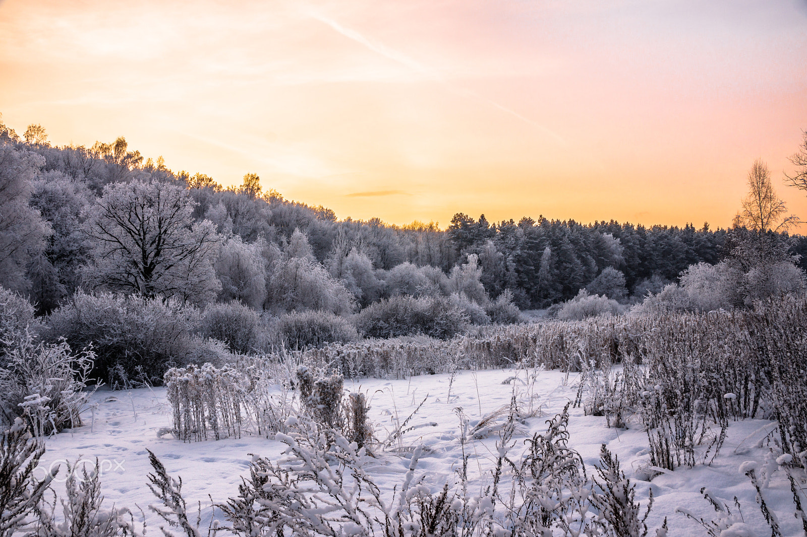 Sony SLT-A65 (SLT-A65V) sample photo. Winter is coming! photography