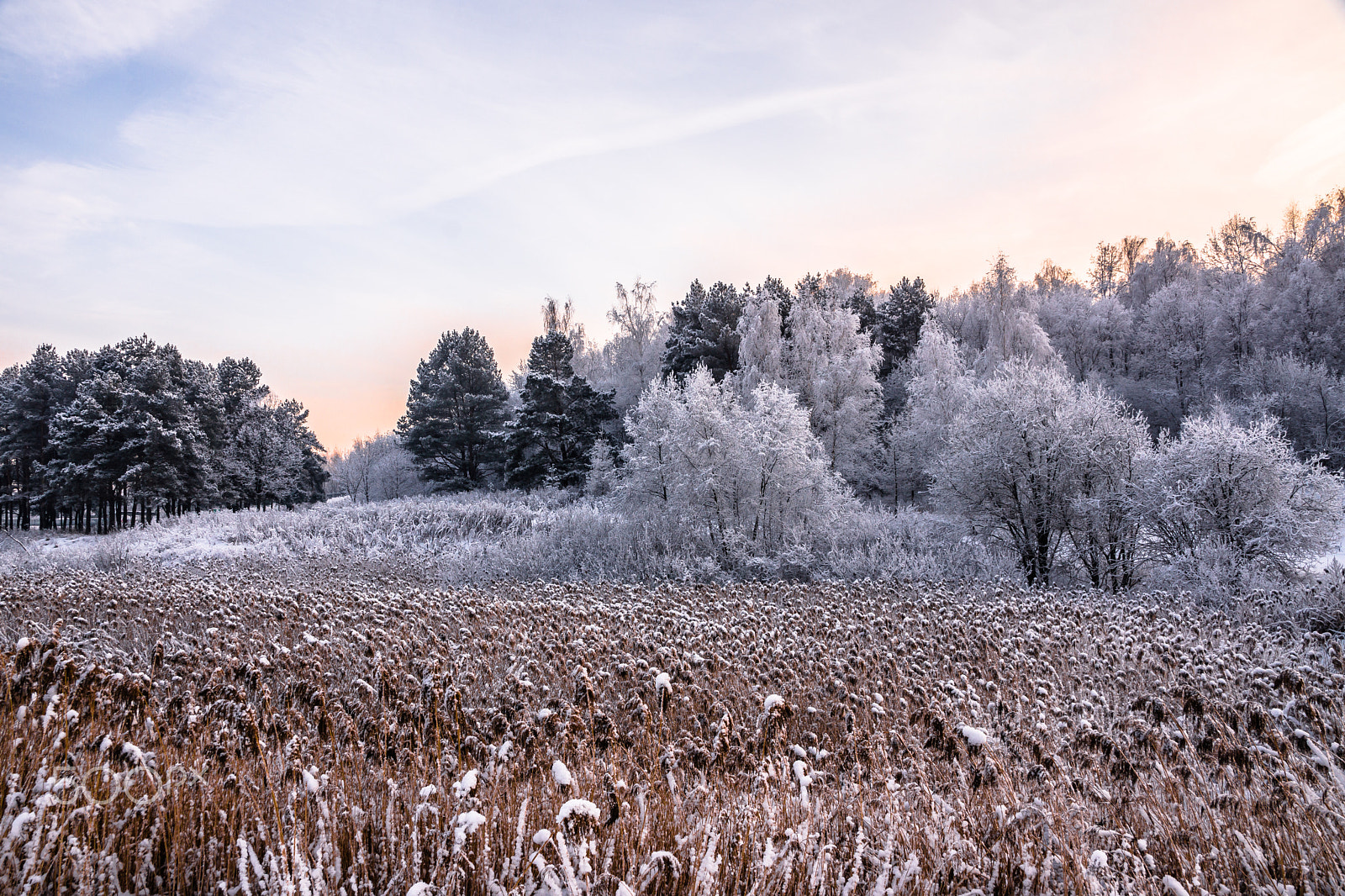 Sony SLT-A65 (SLT-A65V) + Sony DT 18-135mm F3.5-5.6 SAM sample photo. Winter is coming! photography