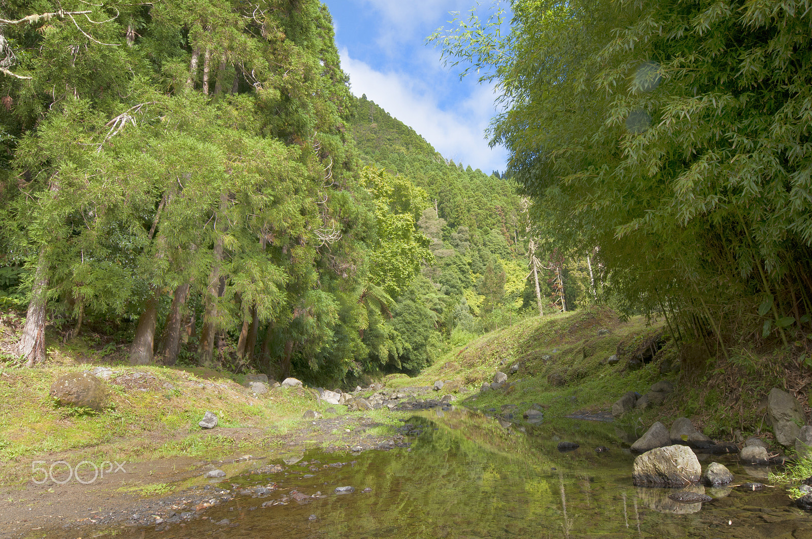 Nikon AF-S Nikkor 14-24mm F2.8G ED sample photo. Landscape near furnas lagoon, s. miguel, azores photography