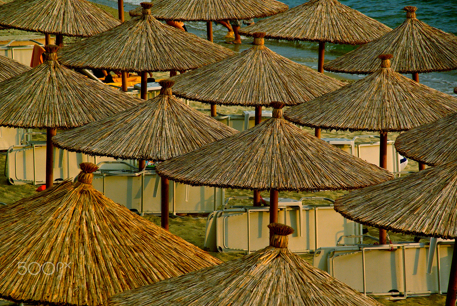 Pentax K10D sample photo. Under the tropics ... photography