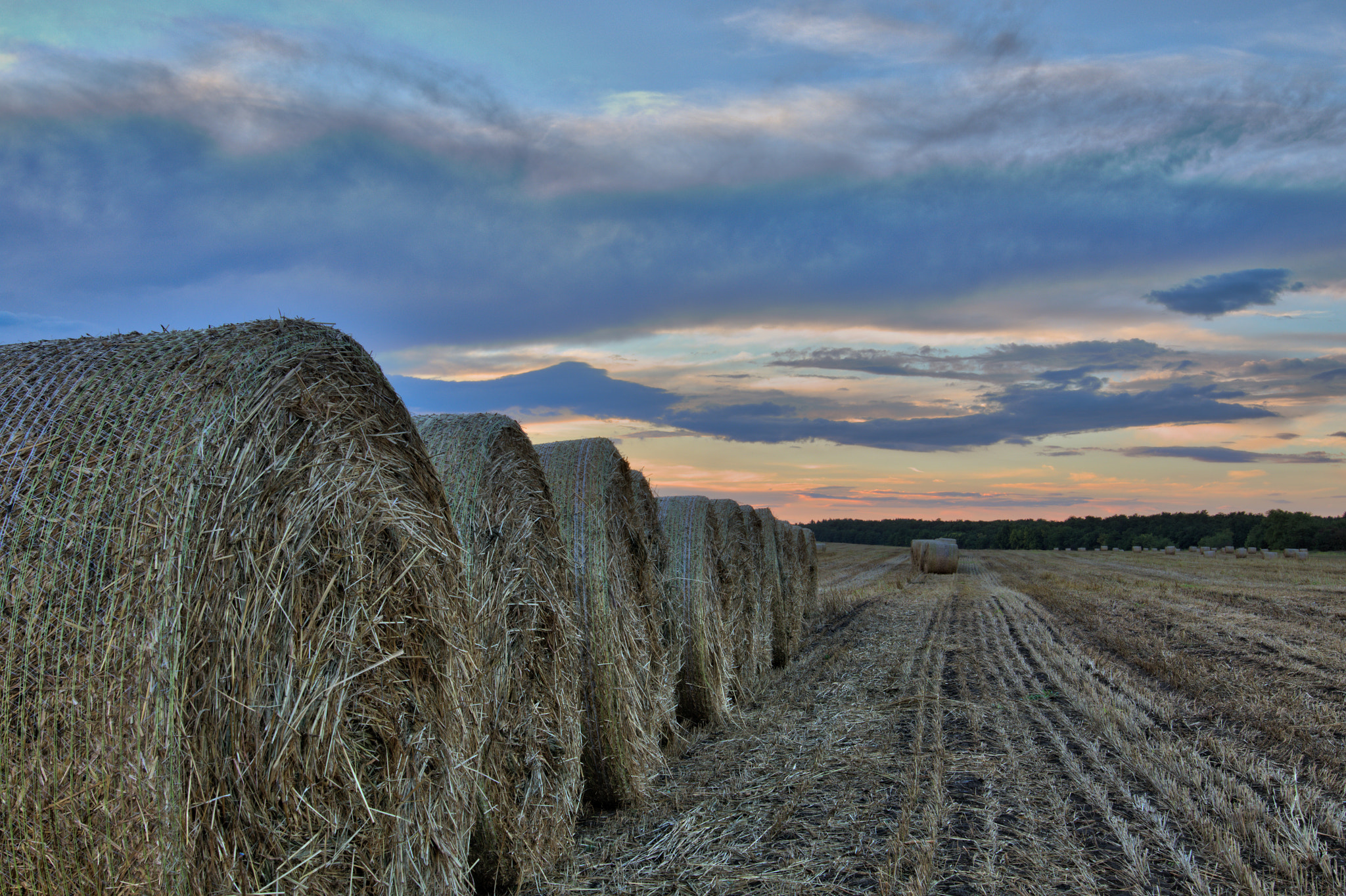 Sigma 24mm F1.4 DG HSM Art sample photo. Hay field (1) photography