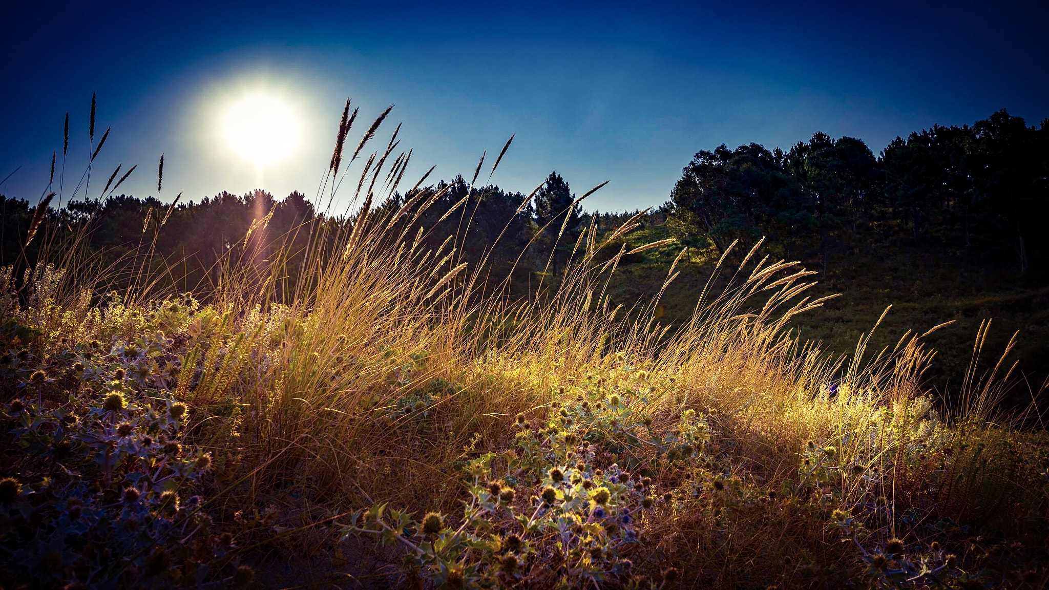 Sony ILCA-77M2 + 10-20mm F3.5 sample photo