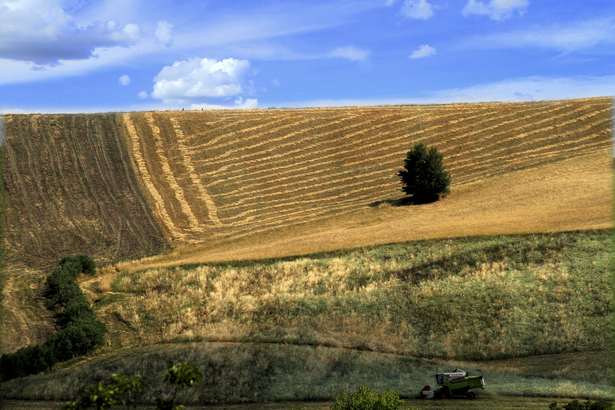 Canon EF-S 17-55mm F2.8 IS USM sample photo. Colline marchigiane photography