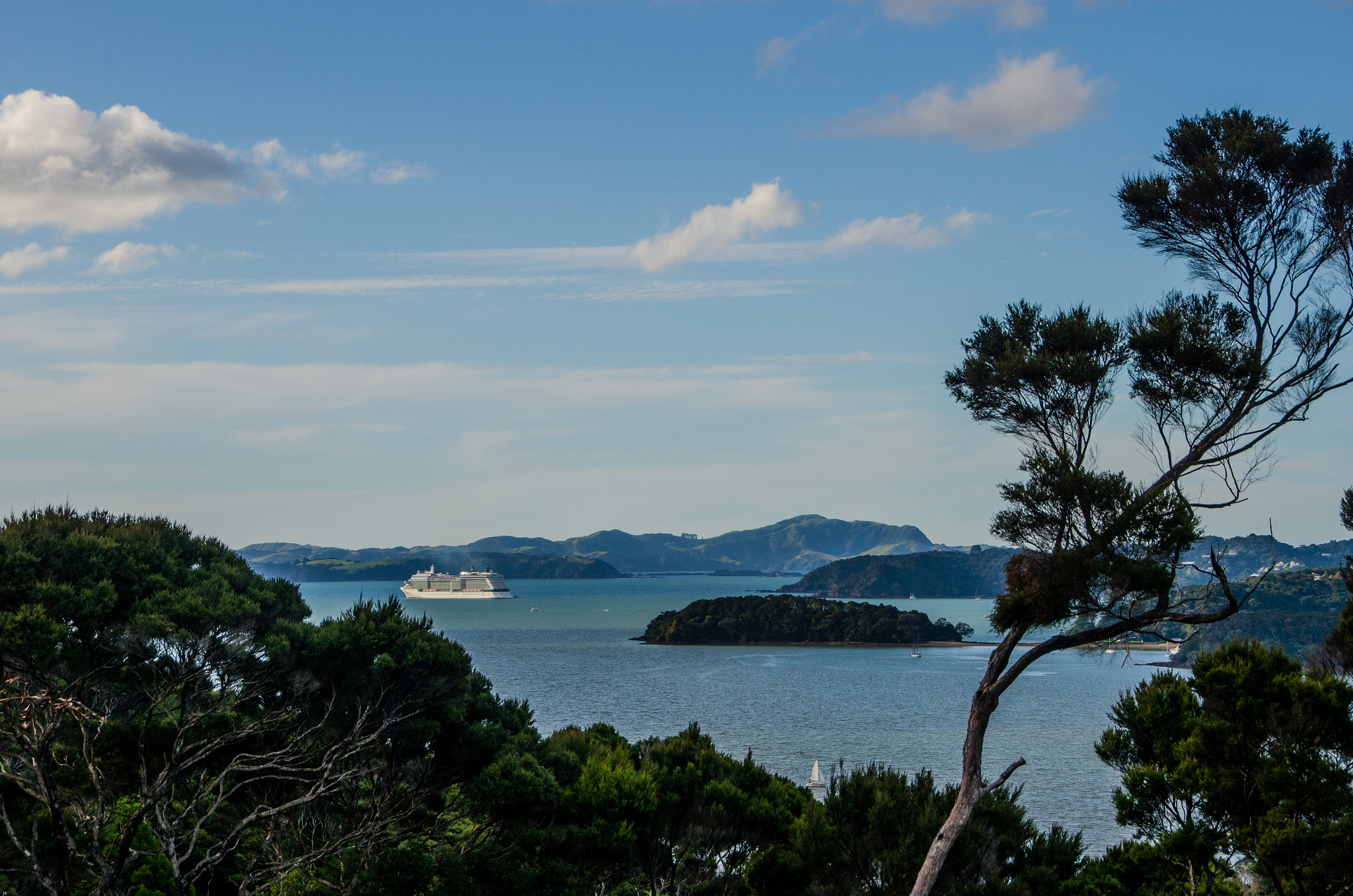 Sigma 18-250mm F3.5-6.3 DC OS HSM sample photo. Auckland photography