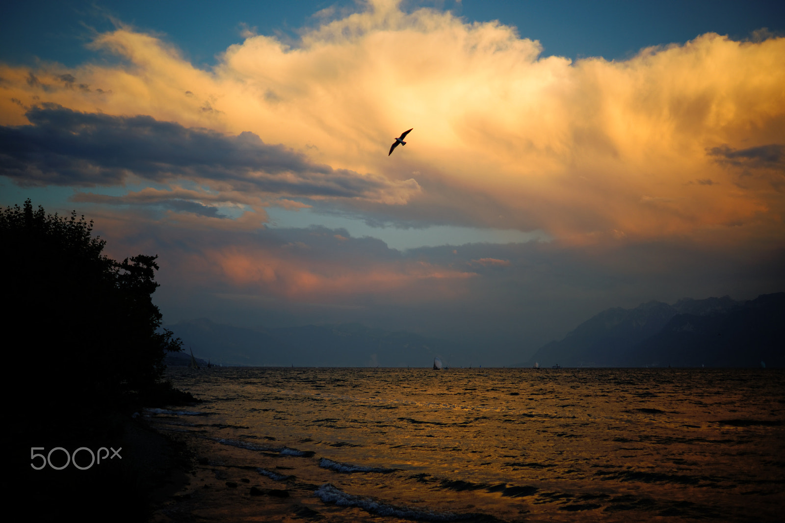 Sony a99 II + Sony 35mm F1.4 G sample photo. Lausanne, lac léman, 2016-08-27 photography