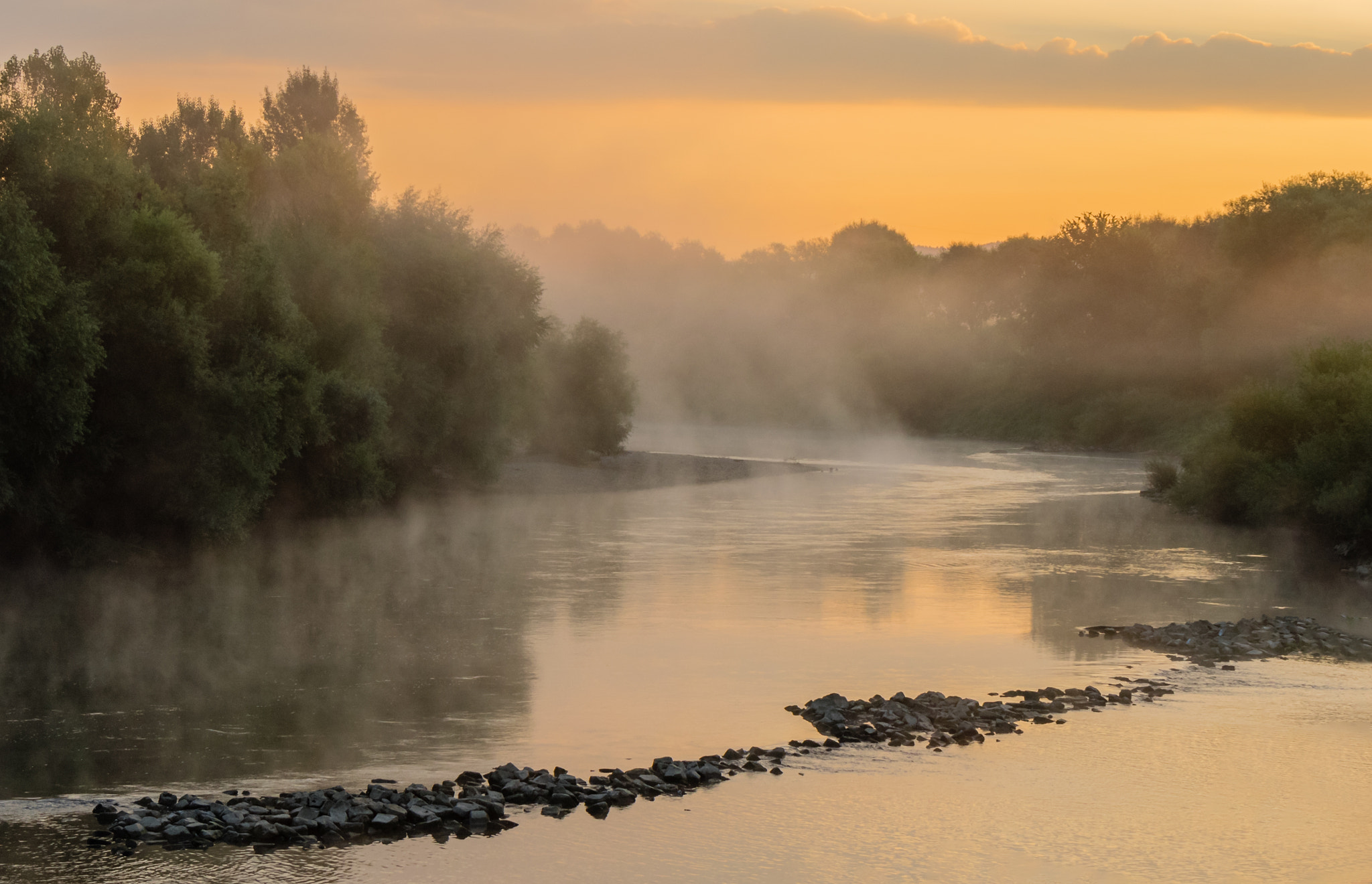 Olympus OM-D E-M1 sample photo. First autumn fogs photography