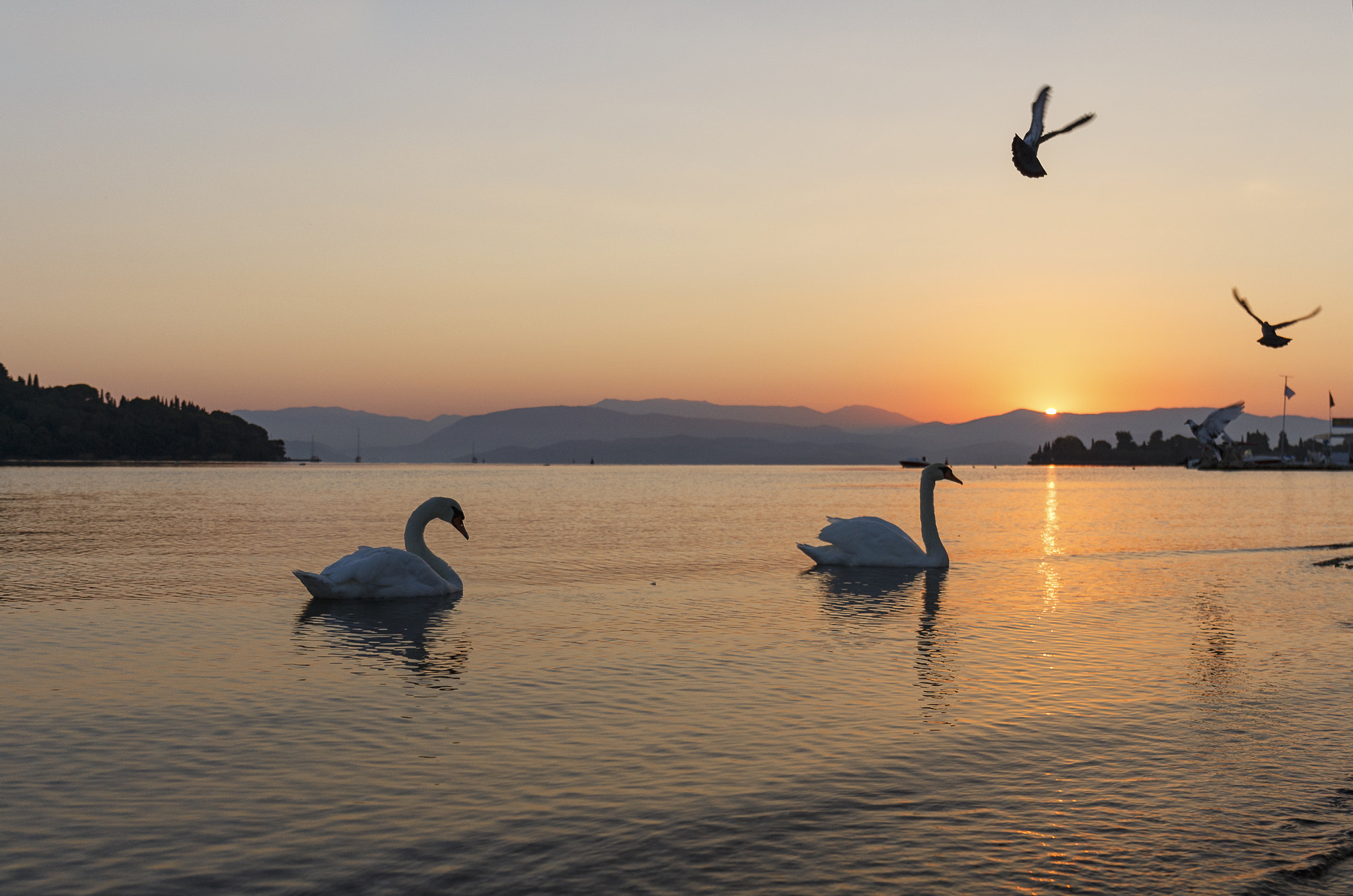 Canon EF 24-70mm F4L IS USM sample photo. Morning full of beauty photography