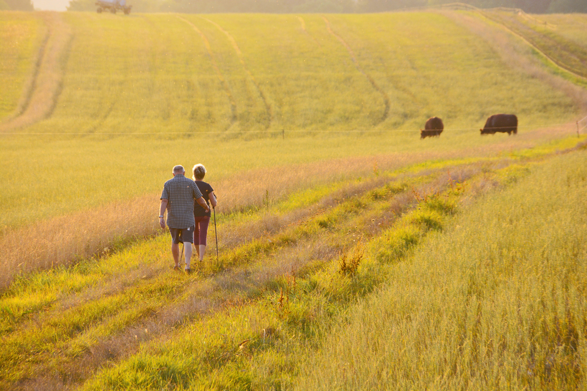 Nikon D7100 + Sigma 18-250mm F3.5-6.3 DC OS HSM sample photo. Towards the sun photography