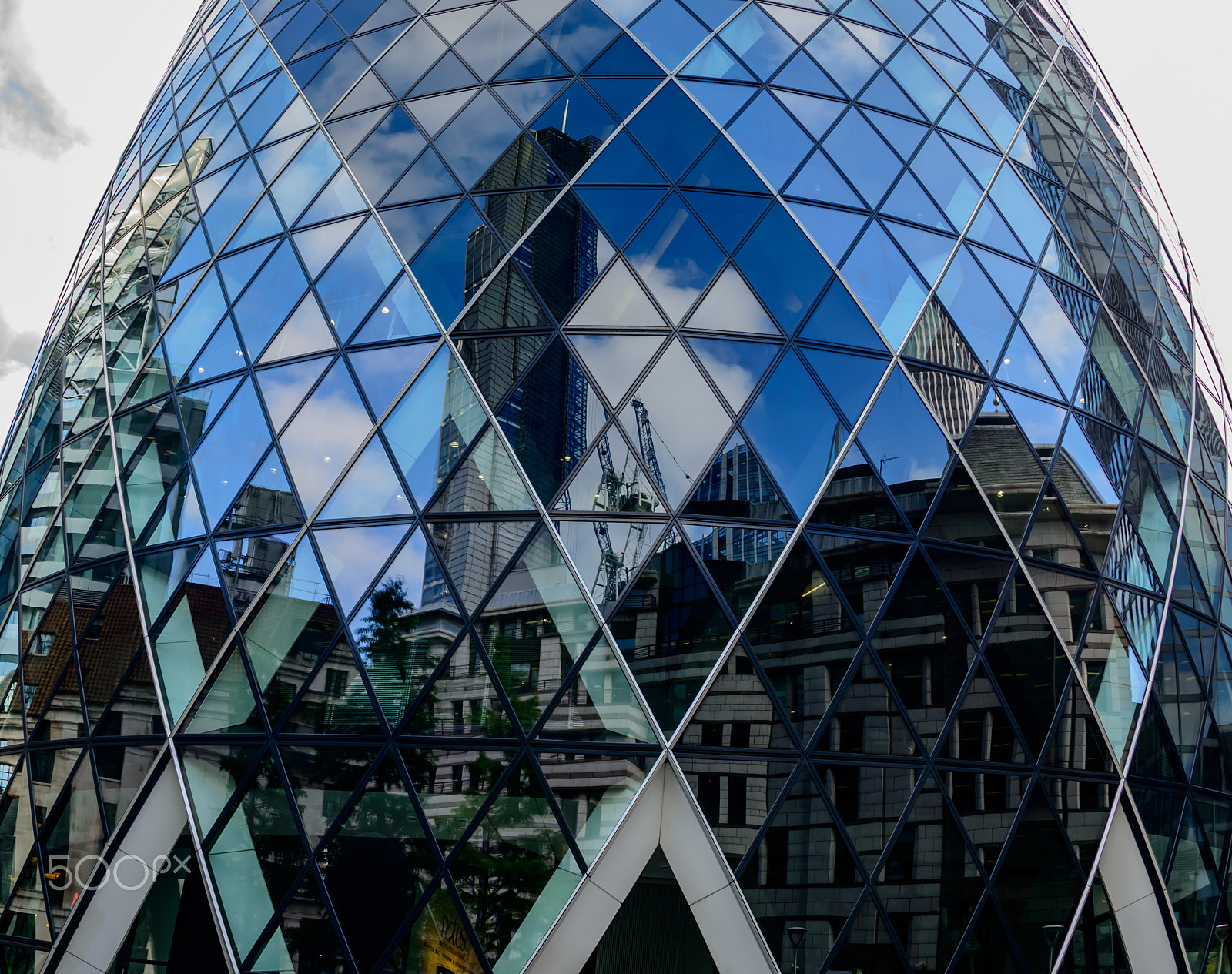 Nikon D800 + Nikon AF Fisheye-Nikkor 16mm F2.8D sample photo. Fishy reflections photography